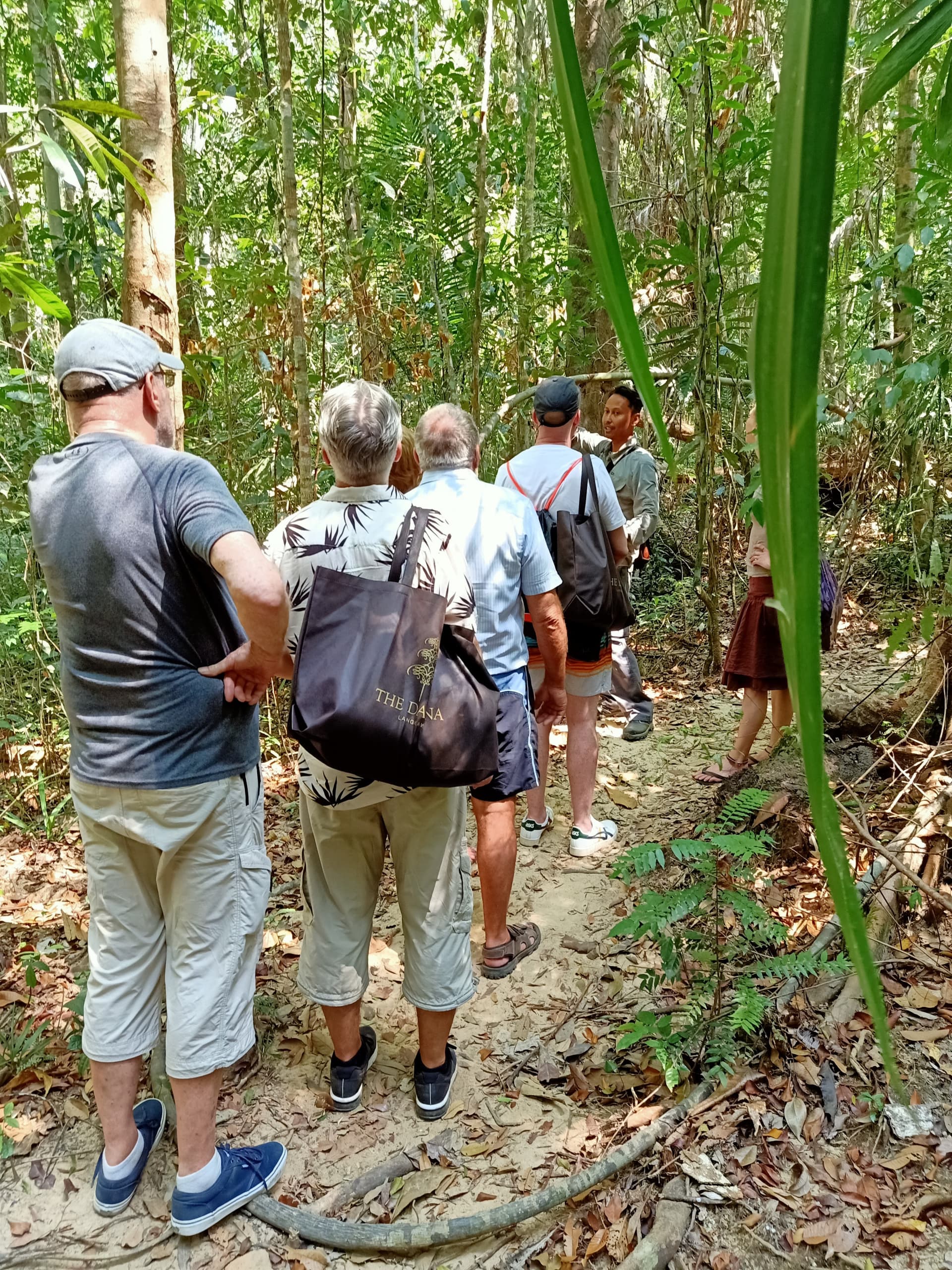 Langkawi Morning Rainforest Walking Tour - تصویر 8