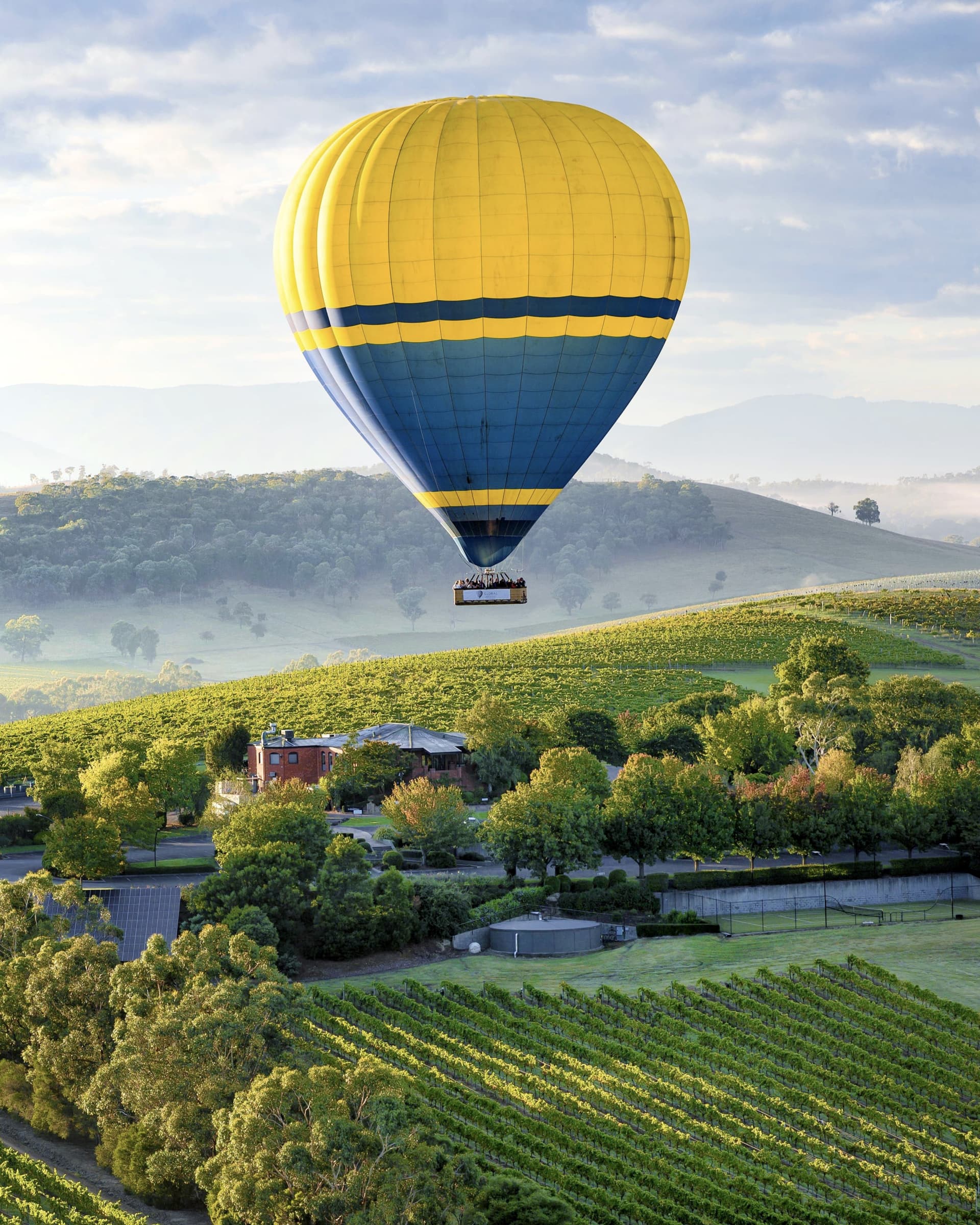 Sunrise Hot Air Balloon Flight over Yarra Valley with Photos - تصویر 8
