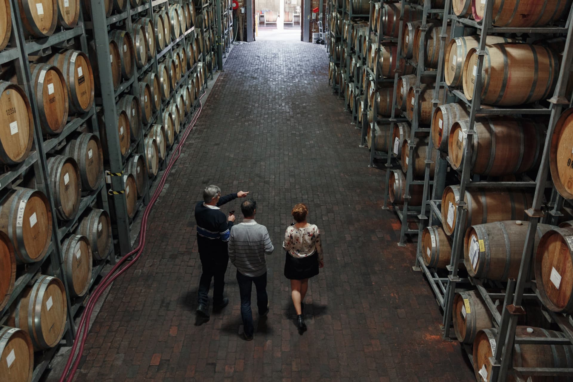 McLaren Vale and d’Arenberg Cube Wine Tasting Tour - تصویر 3