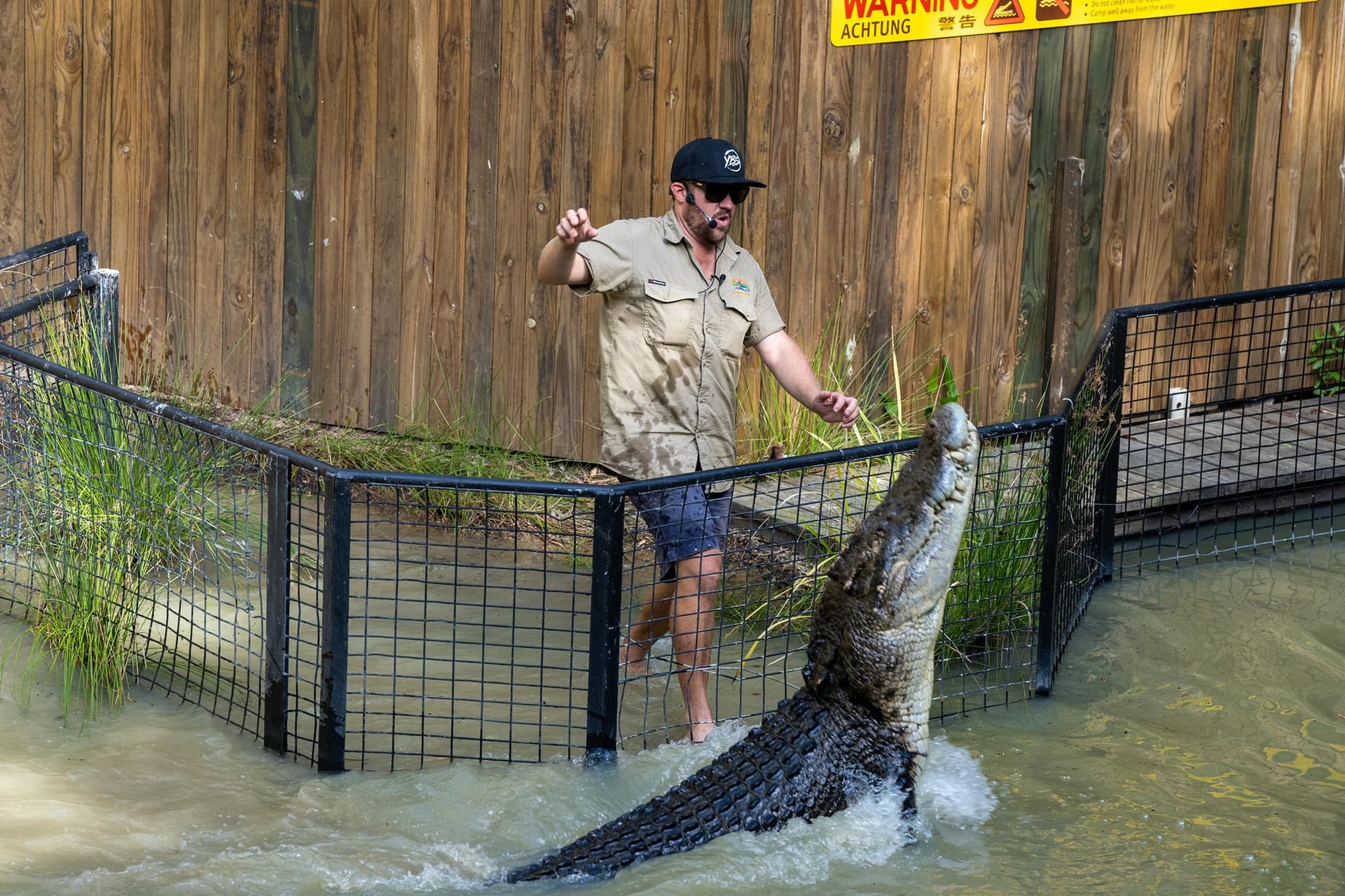 Hartley's Crocodile Adventures - تصویر اصلی