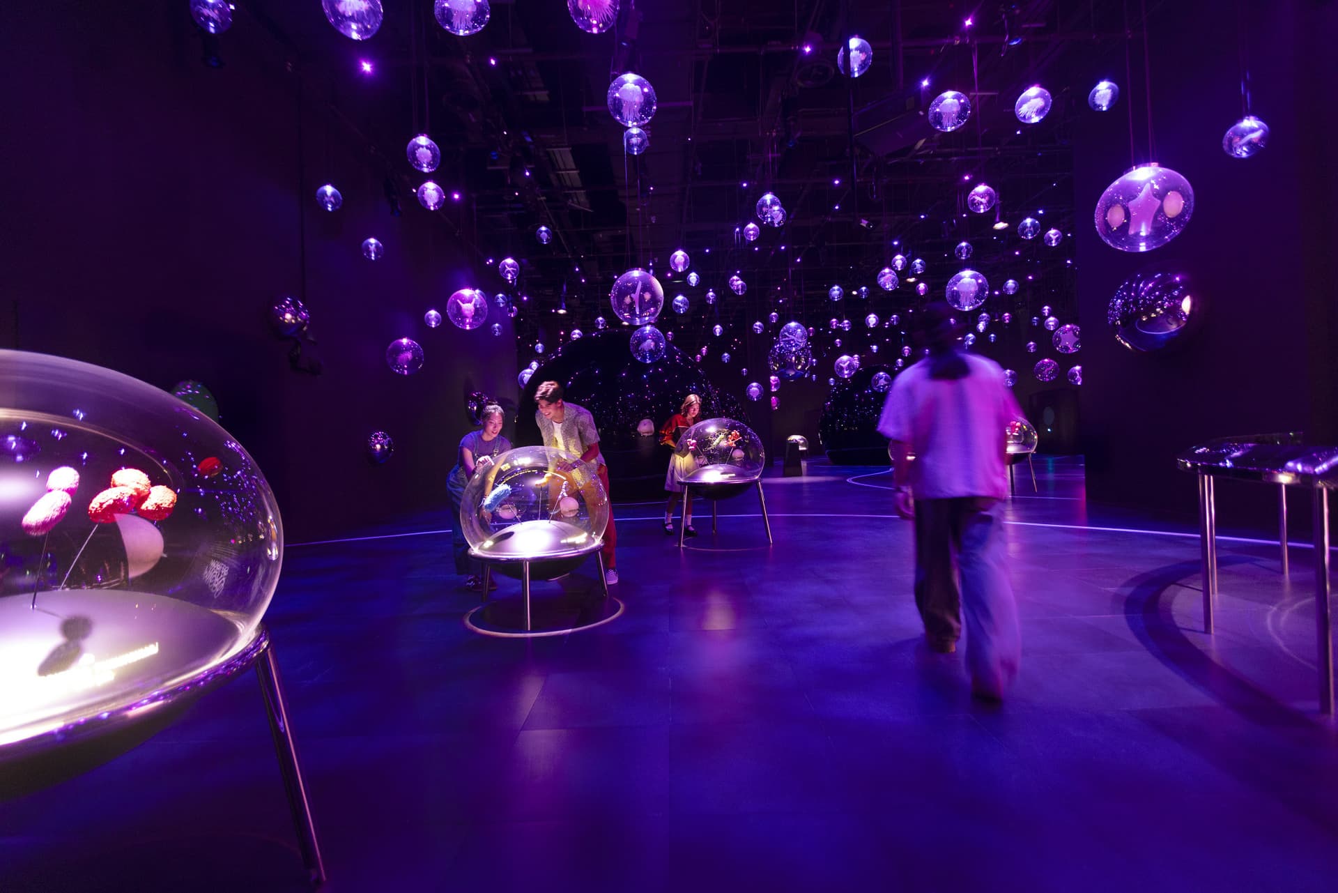 Exploria in Mandai Singapore Ticket - تصویر 6