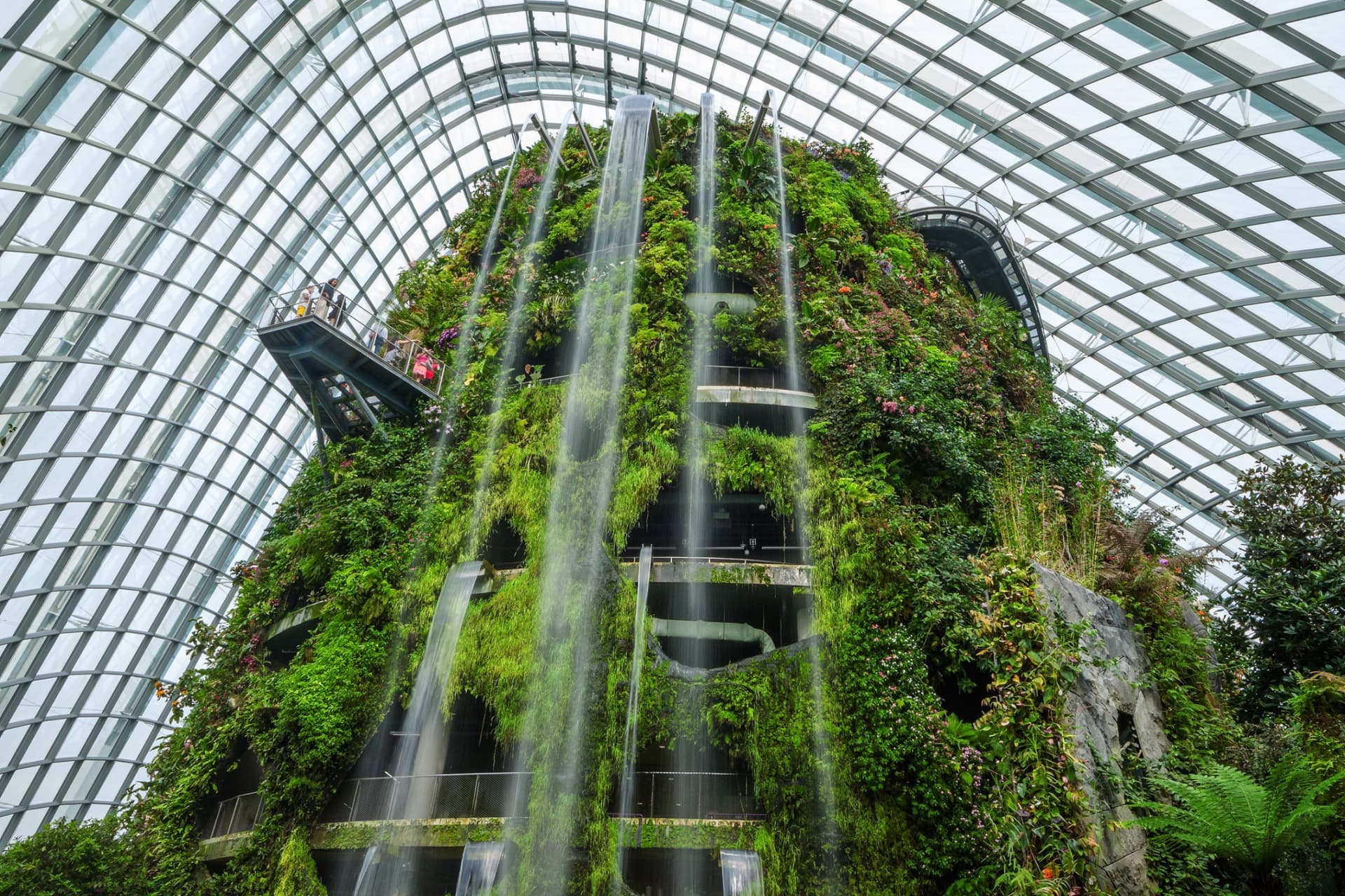 COMBO: Skyline Luge Singapore + Gardens by the Bay Ticket - تصویر 13