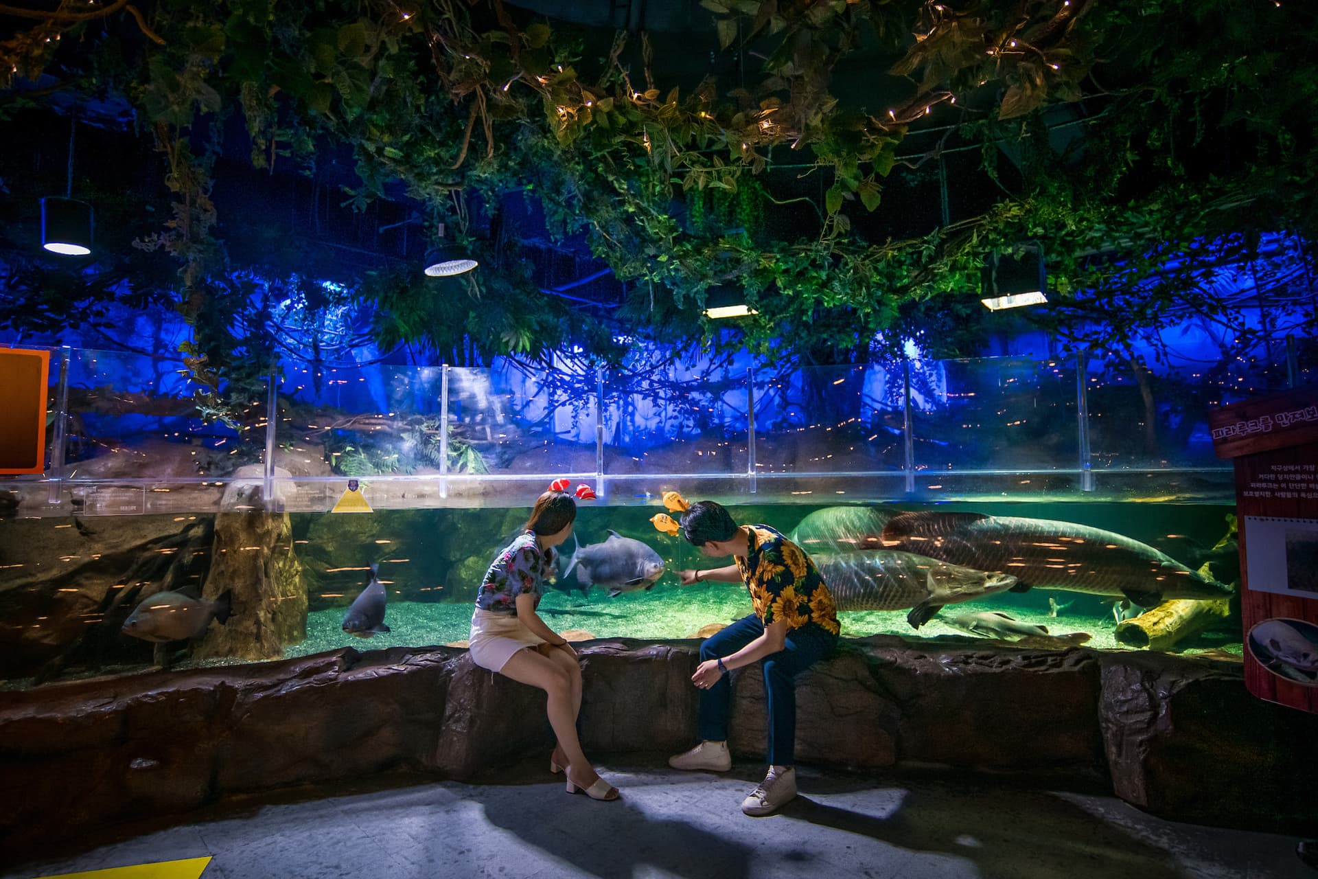 SEA LIFE Busan Aquarium Ticket - تصویر 4