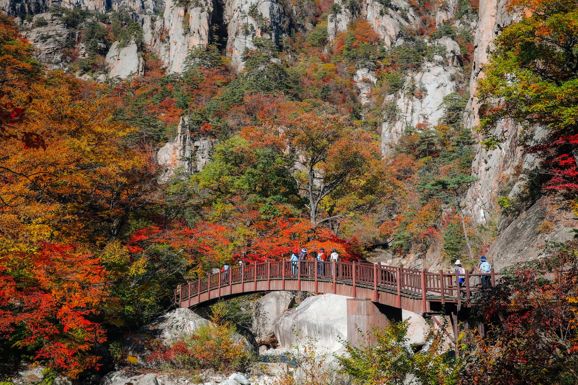 Mt. Seorak National Park Autumn Foliage One Day Tour from Seoul - تصویر 3