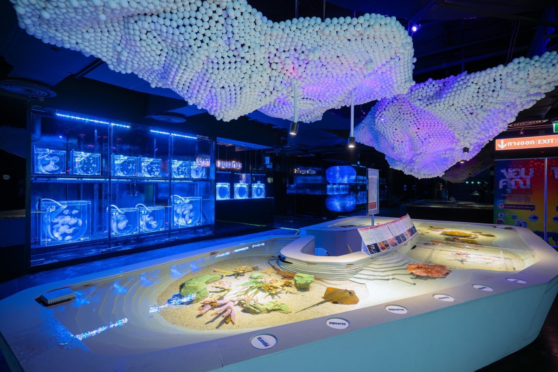 Aquaria Phuket - تصویر 27