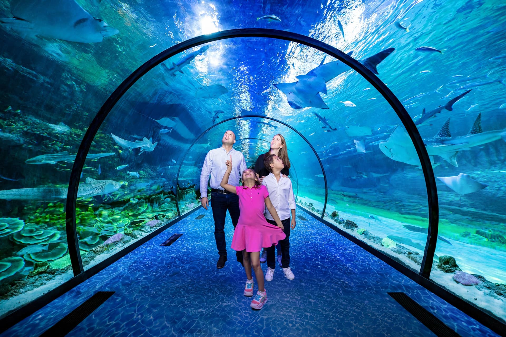 COMBO: The National Aquarium + Louvre Abu Dhabi Tickets - تصویر 3