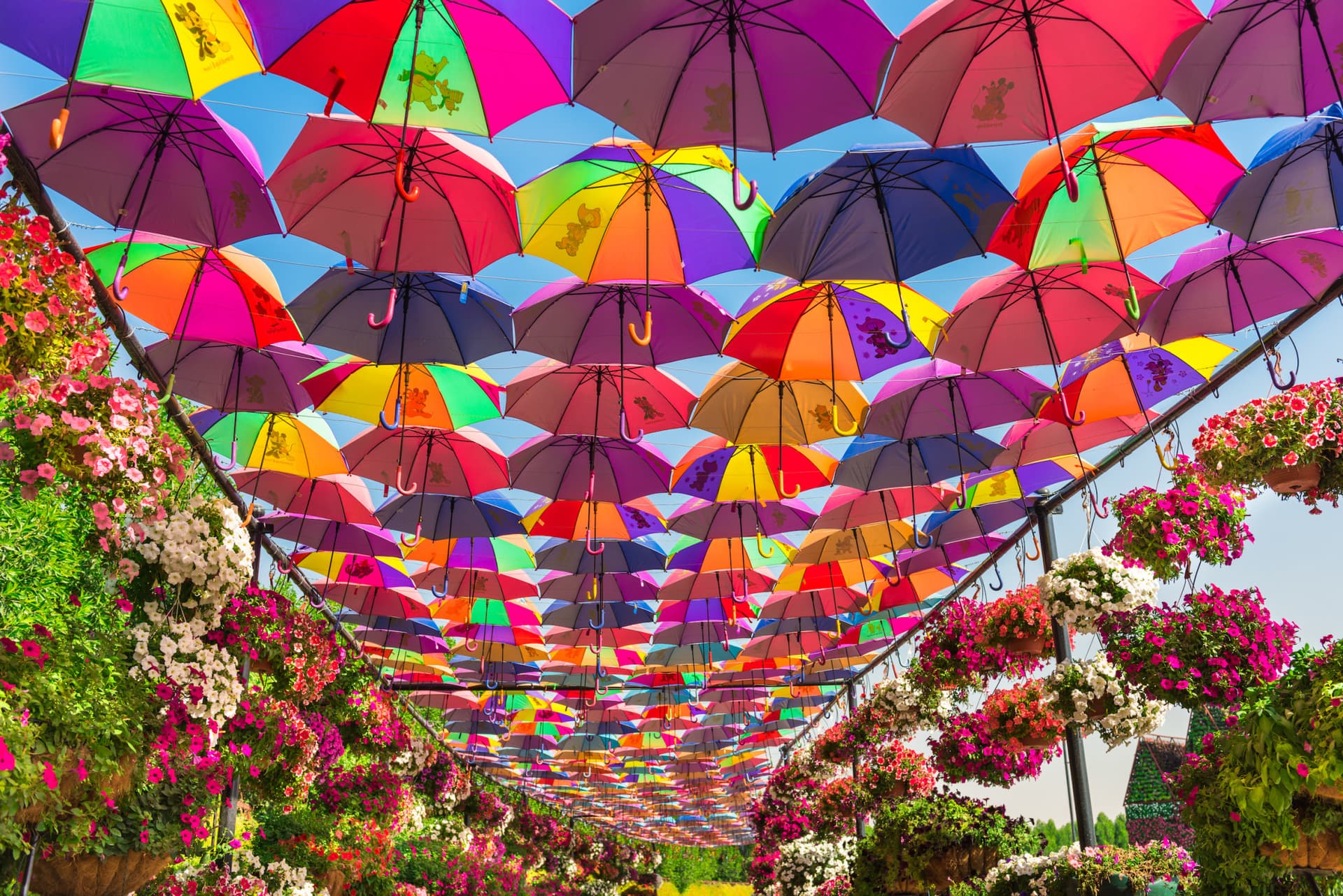 COMBO: Dubai Miracle Garden + Global Village Dubai Tickets - تصویر 2