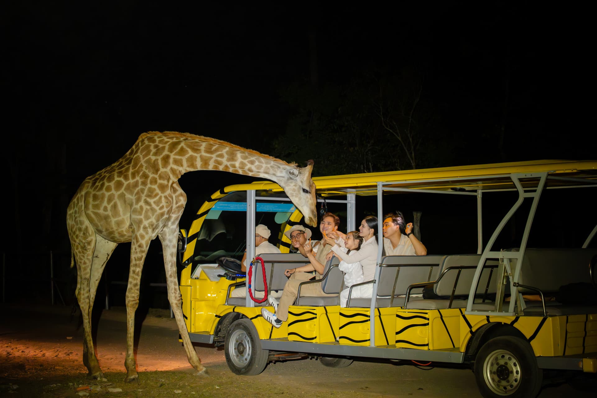Vinpearl Safari Phu Quoc Ticket - تصویر 19