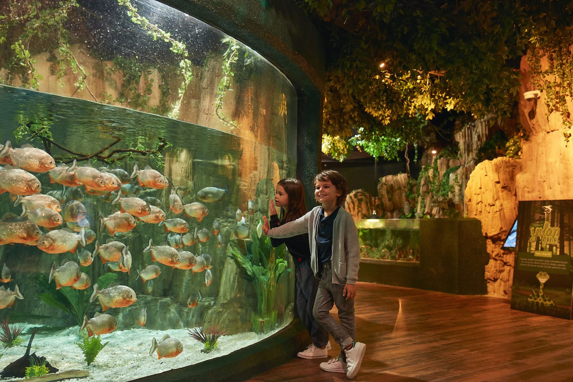 Emaar Aquarium and Underwater Zoo Ticket - تصویر اصلی