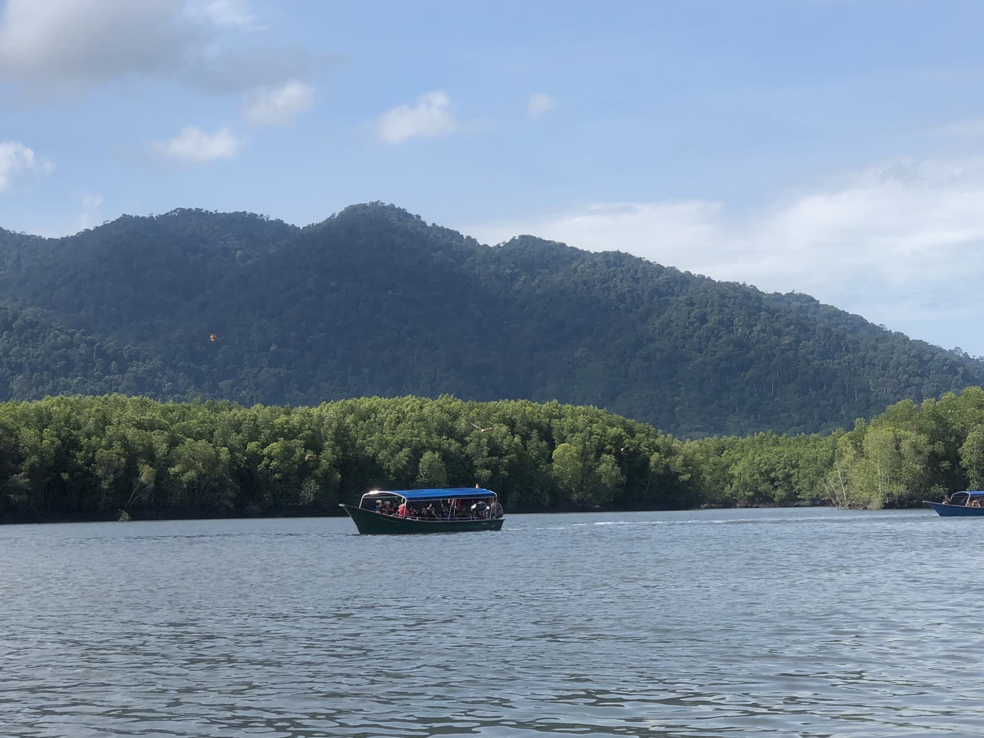 Langkawi UNESCO Global Geopark Mangrove Cruise - تصویر اصلی