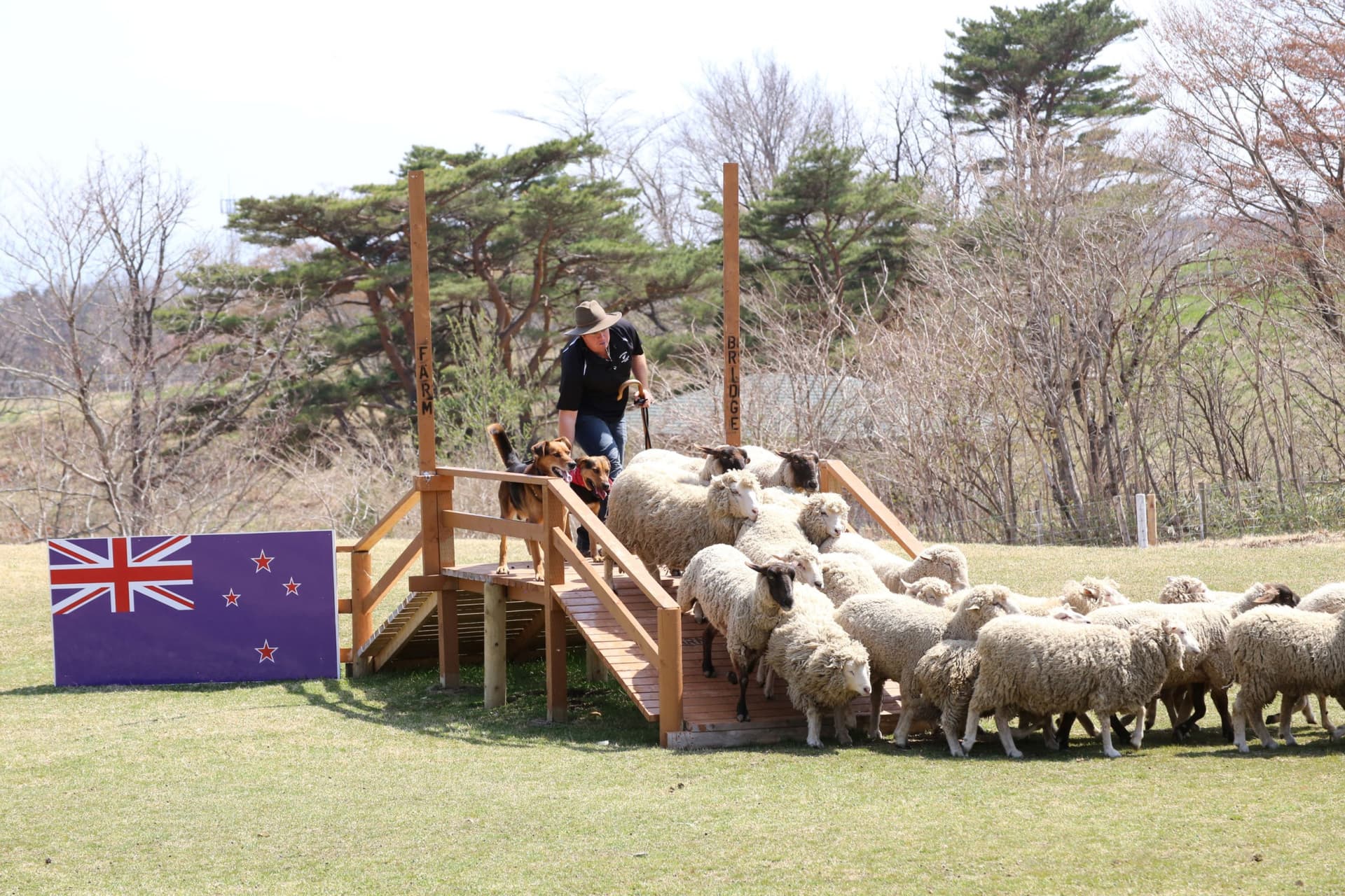 Nasu Animal Kingdom Ticket - تصویر 6