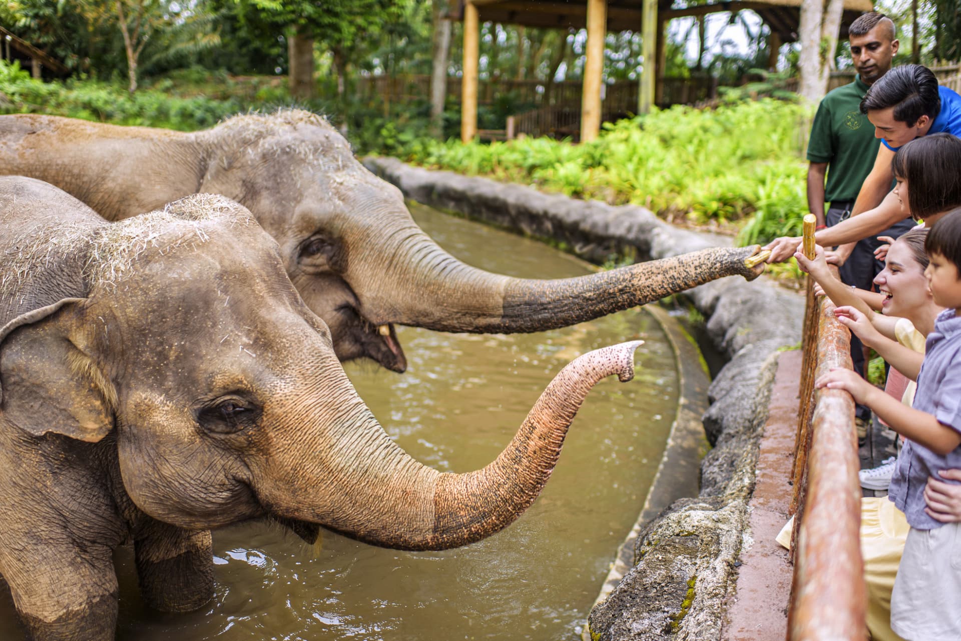 COMBO: Singapore Zoo + River Wonders Ticket - تصویر 2