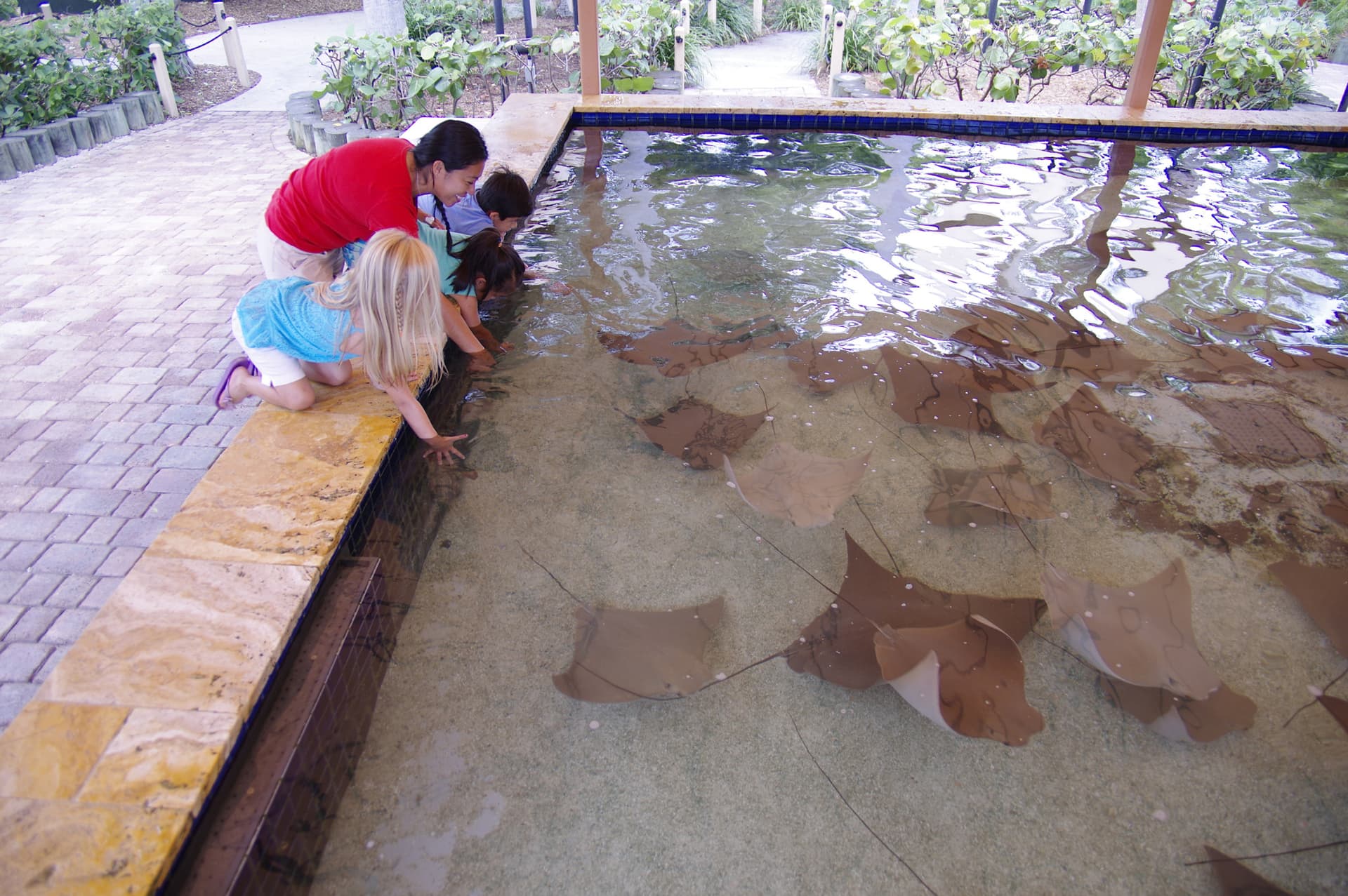 Go City Miami Explorer Pass: Save up to 50% on Attractions - تصویر 25