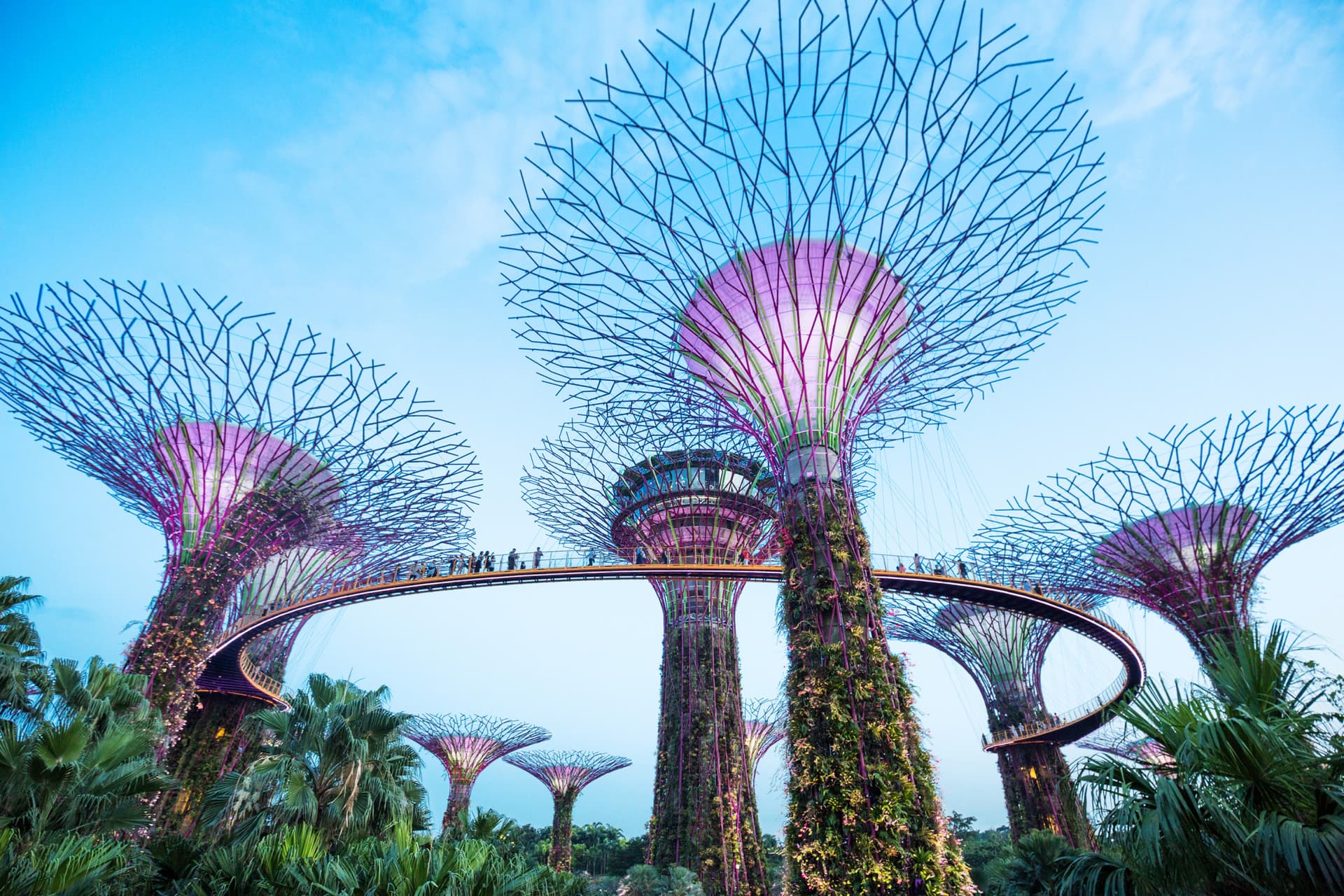 Go City Singapore Essentials Pass: 3 Attractions - تصویر 5