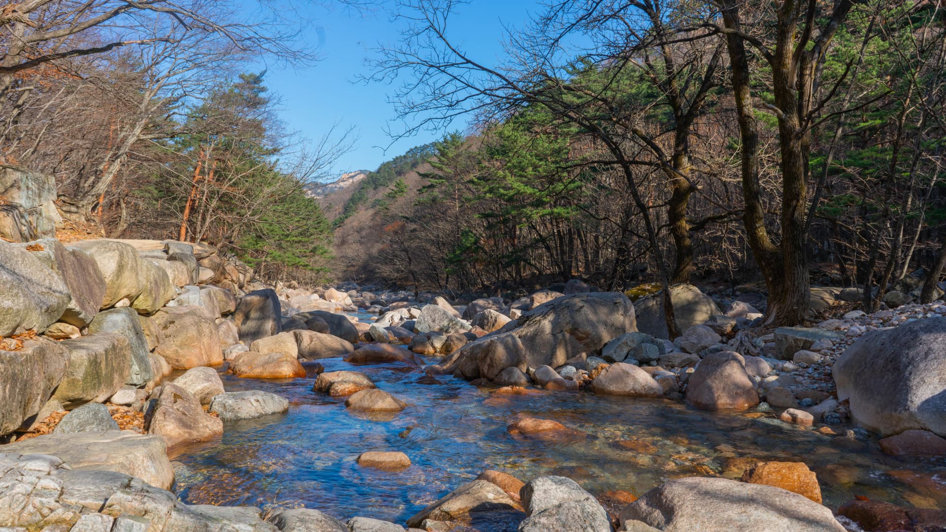 Mount Seorak and Naksansa Temple Tour from Seoul - تصویر 4