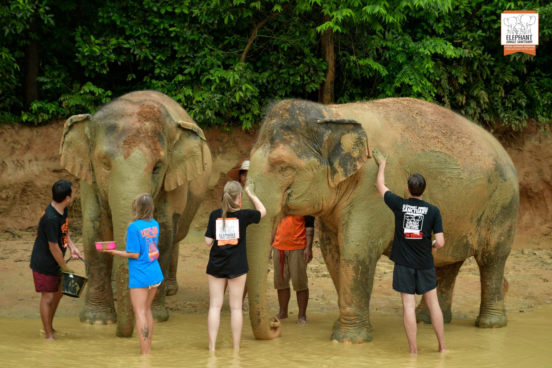 Elephant Jungle Sanctuary Phuket - تصویر 5
