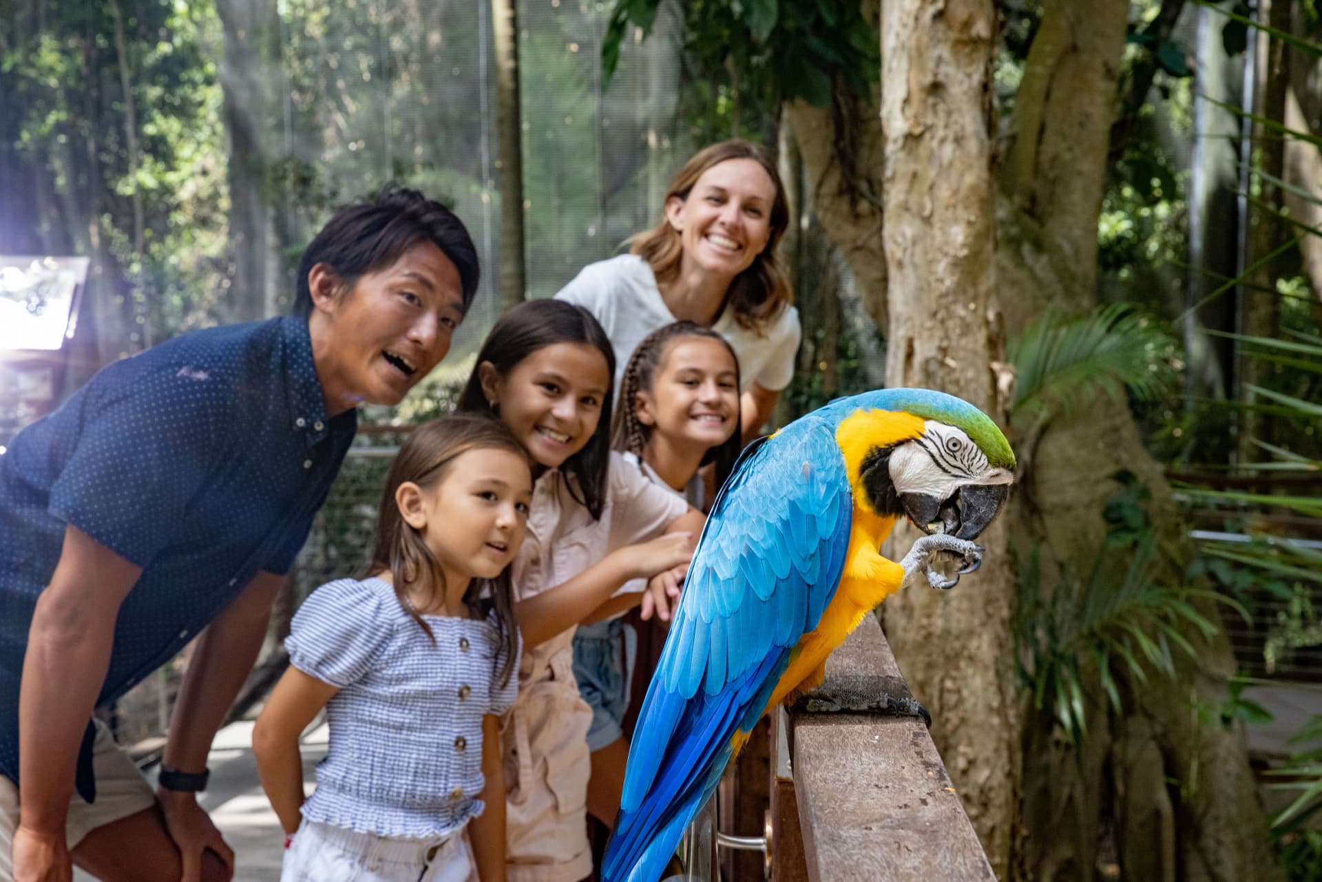 Currumbin Wildlife Sanctuary Gold Coast Ticket - تصویر 12