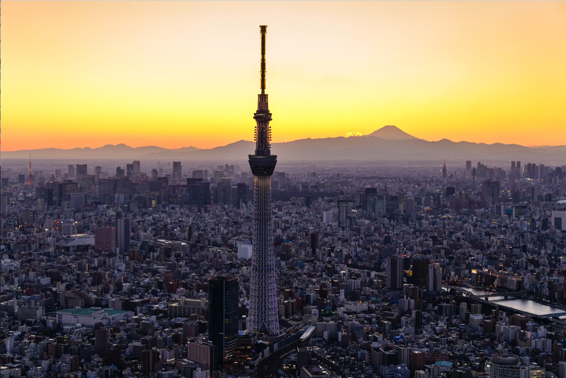 COMBO: Tokyo Skytree + Sumida Aquarium - تصویر اصلی