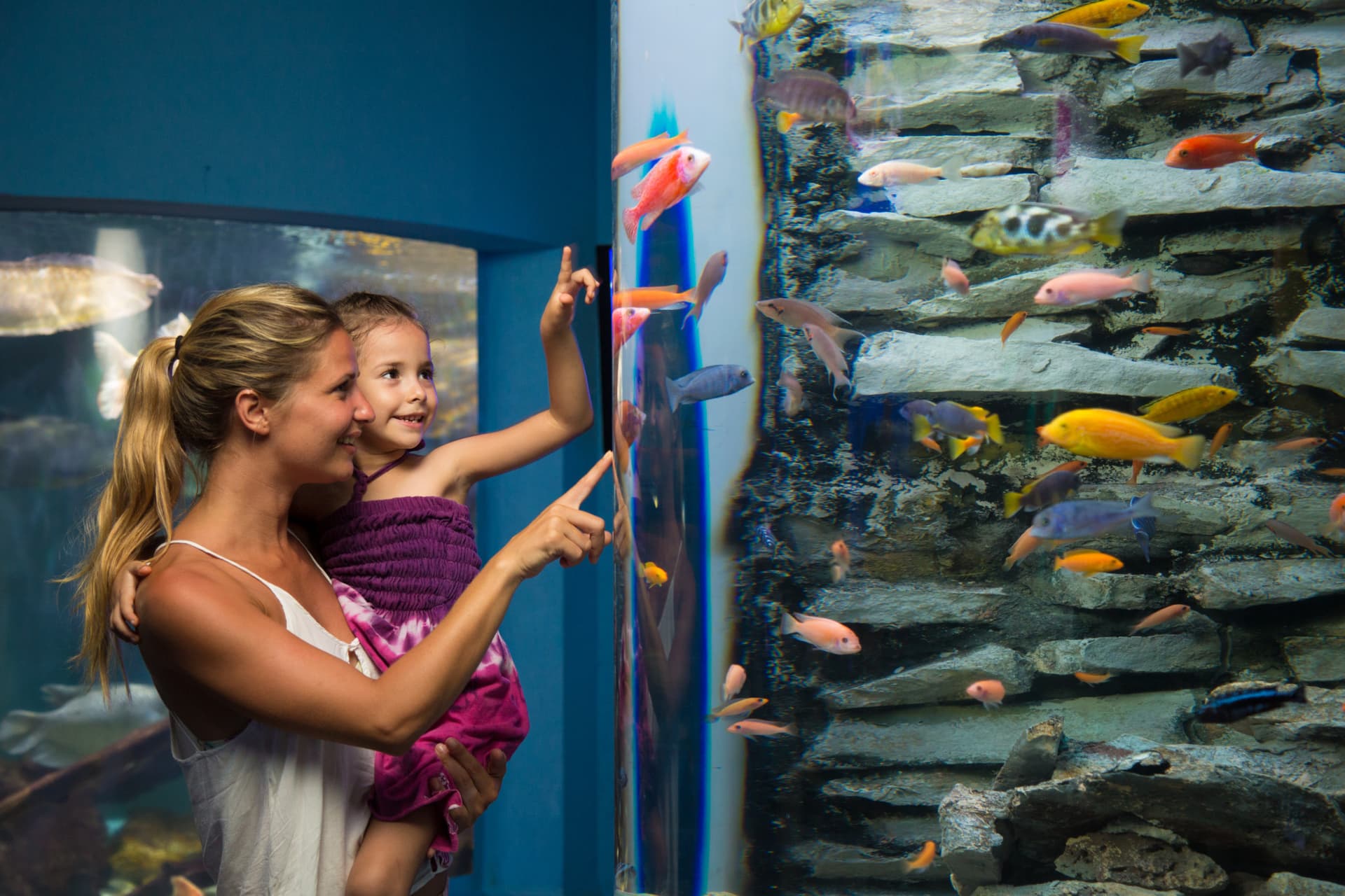 Go City Cancun All-Inclusive Pass: Save up to 50% on Attractions - تصویر 4