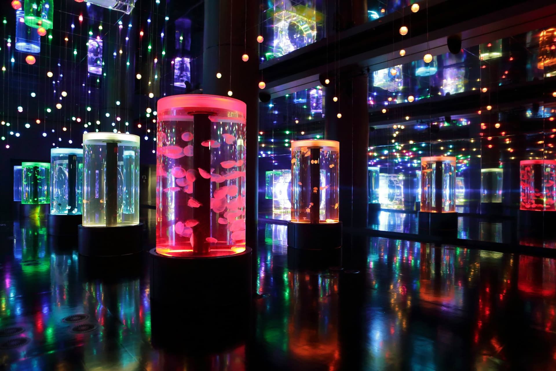 Maxell Aqua Park Shinagawa - تصویر 3