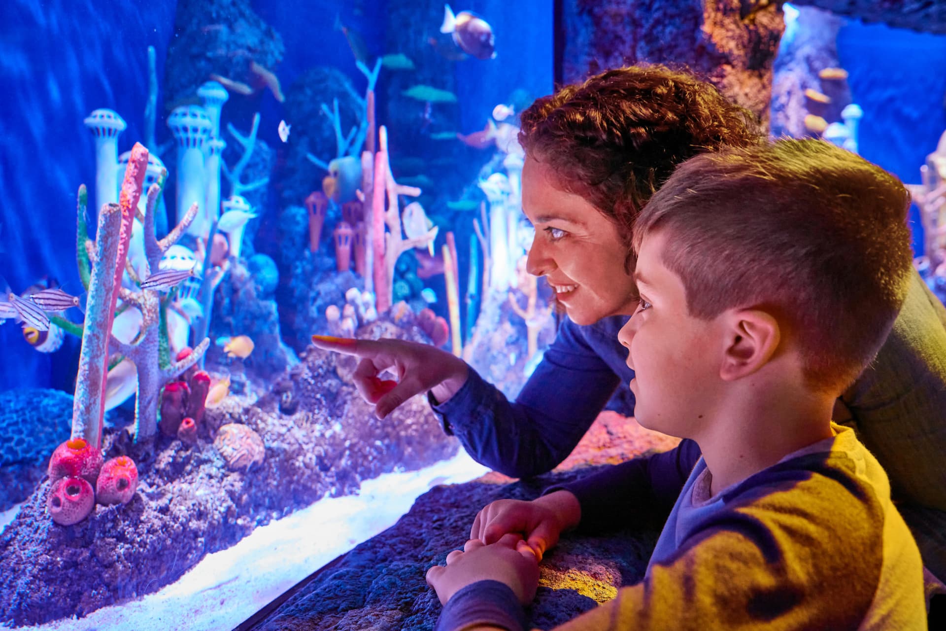 SEA LIFE New Jersey Aquarium Ticket - تصویر 5