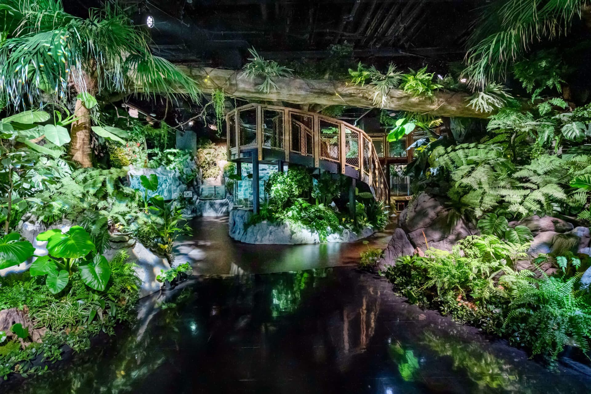 Okinawa DMM Kariyushi Aquarium - تصویر 4