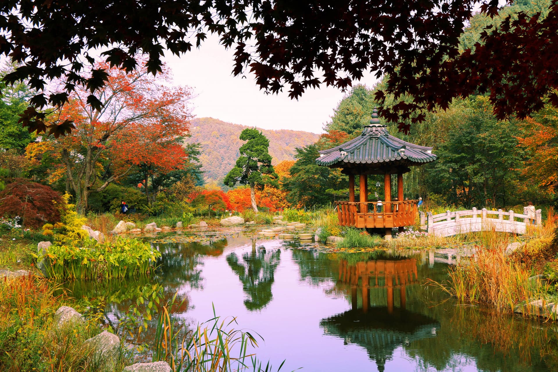 Nami Island and Garden of Morning Calm Tour from Seoul - تصویر 2