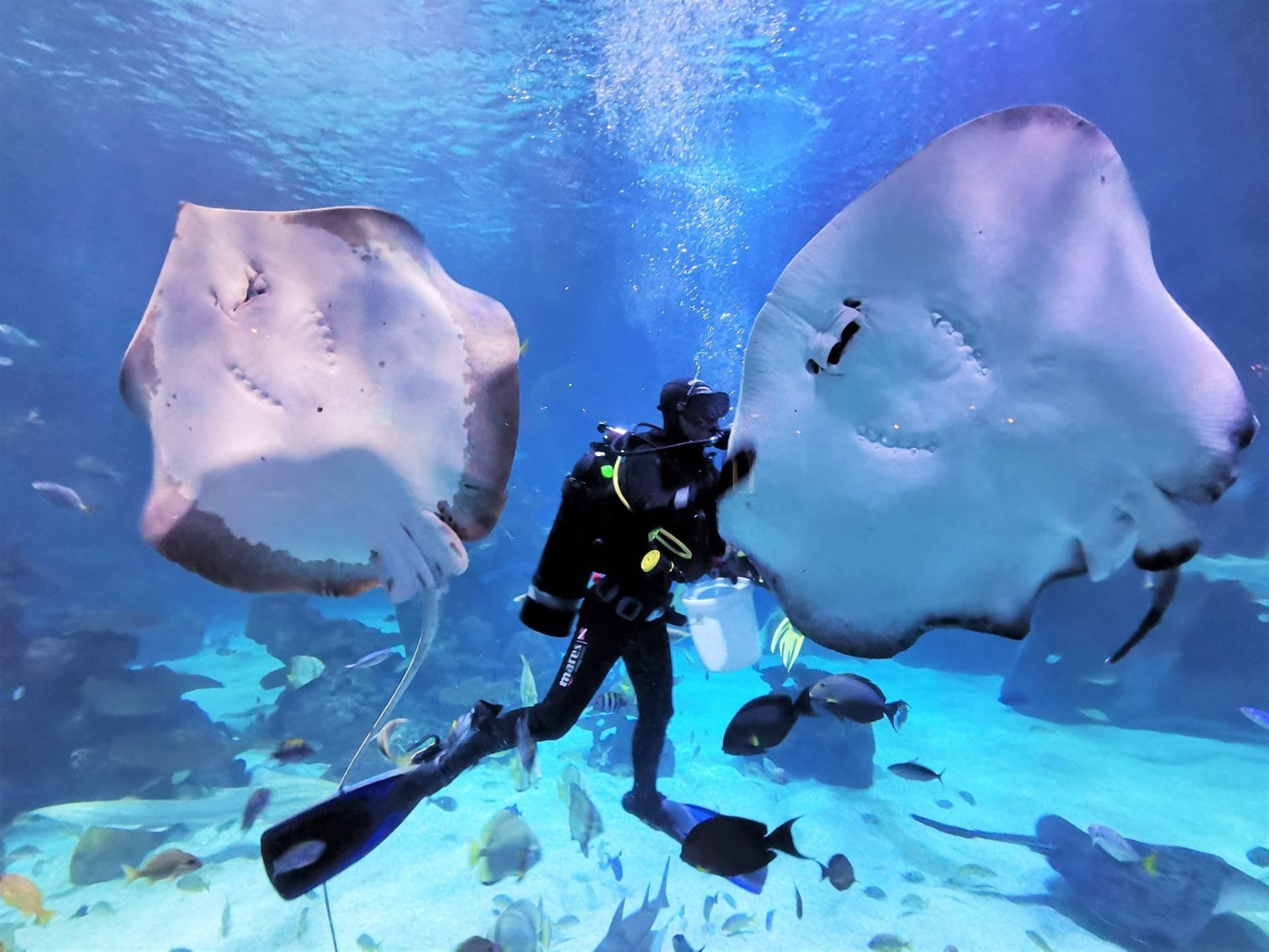 Aquaria Phuket - تصویر 29