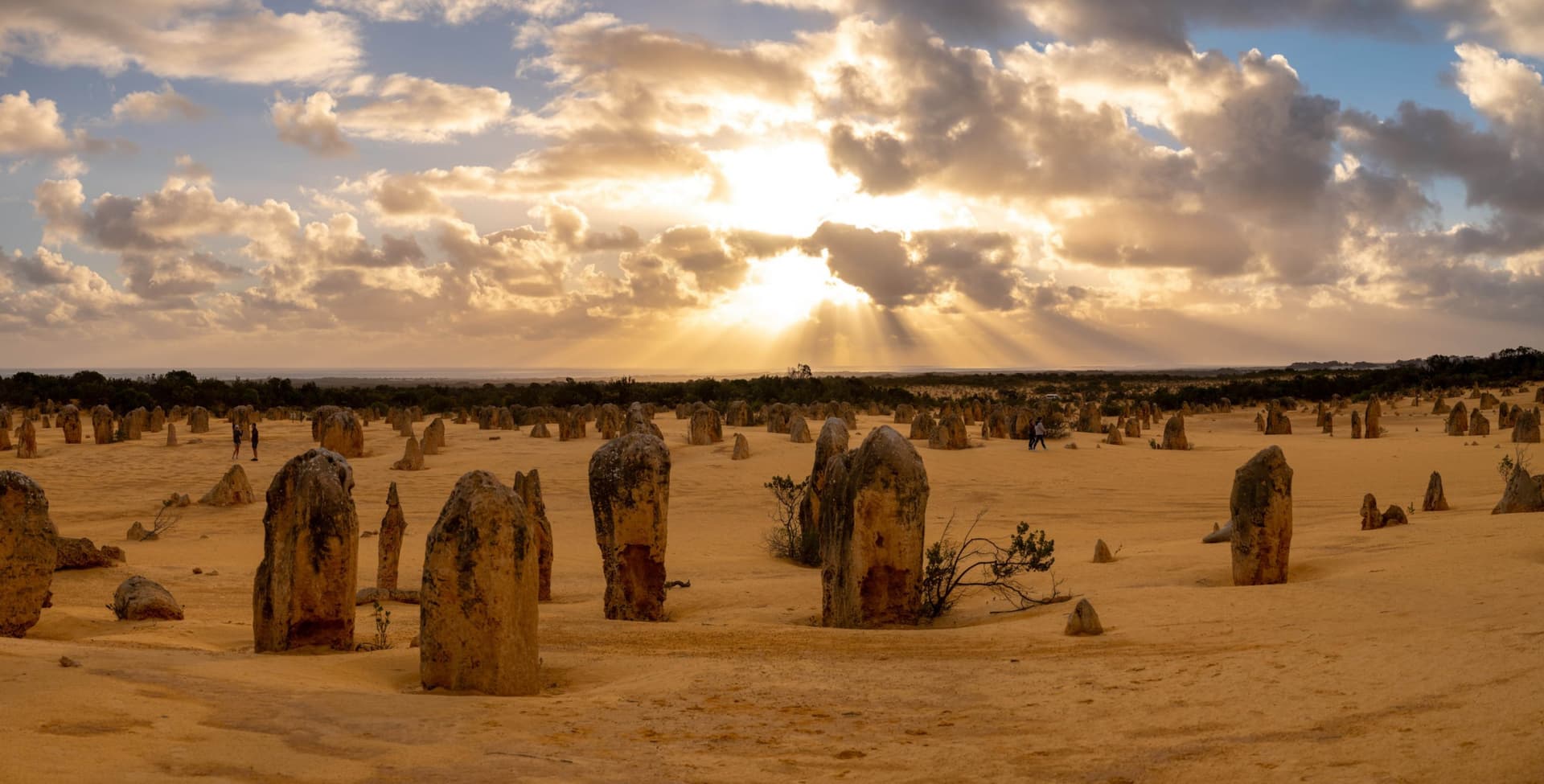 Pinnacles Desert Sunset and Stargazing Tour from Perth - تصویر 4