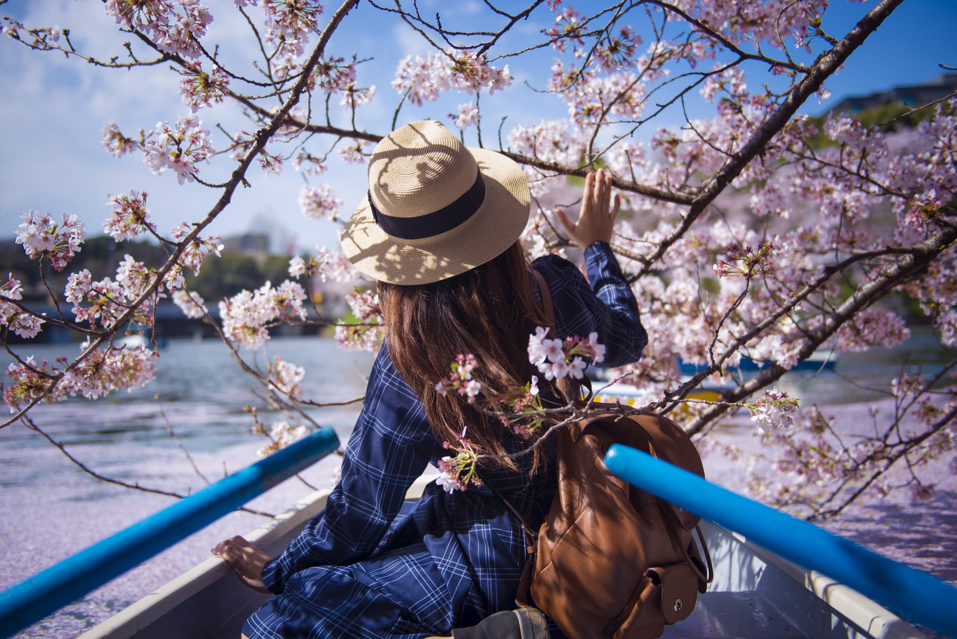 Professional Photo Shoot in Tokyo - تصویر اصلی