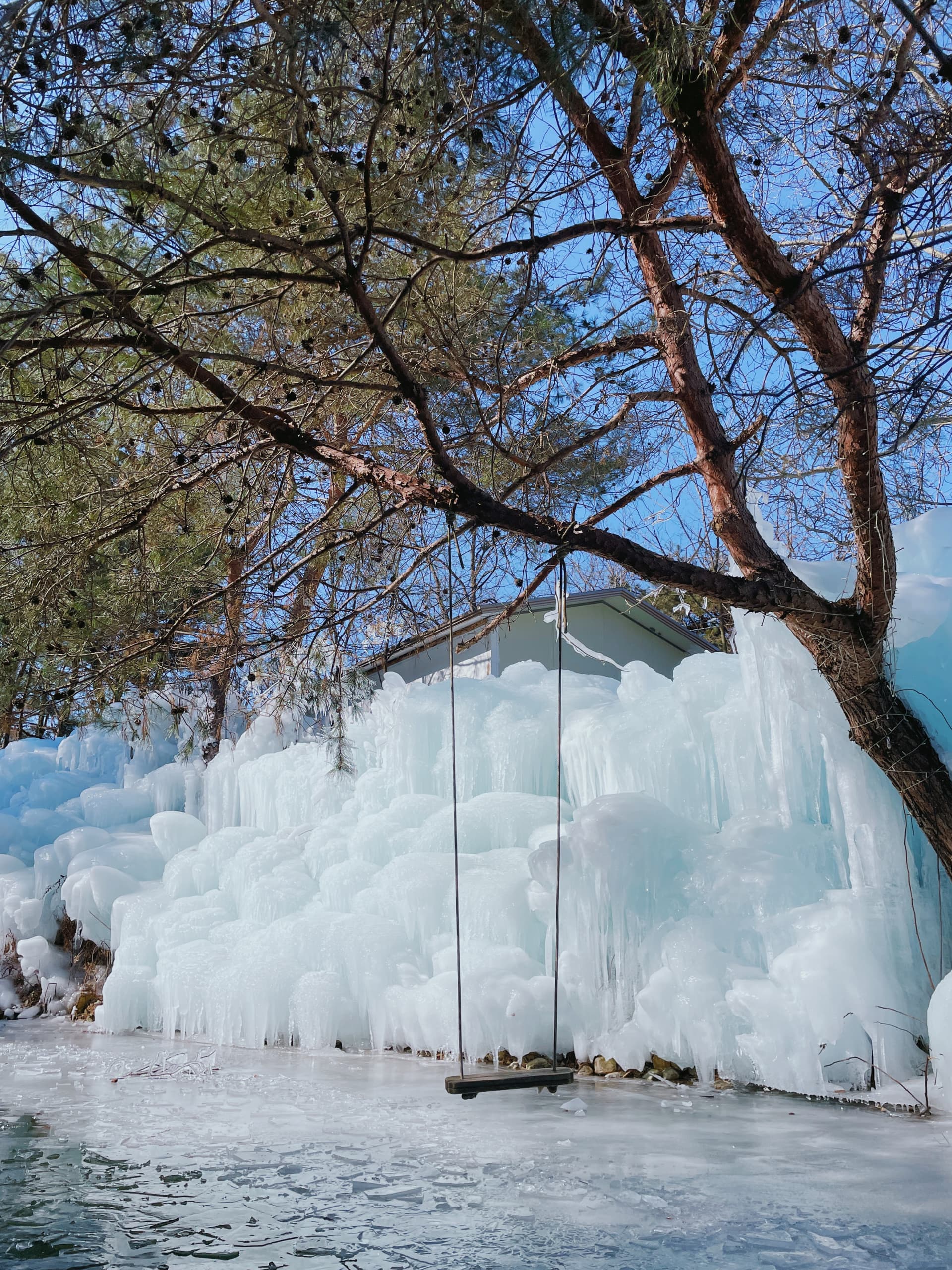 Gyeongju Kookmin Healing Park, Daegu Seomun Market, Songhae Park Ice Wall Full-Day Tour from Busan - تصویر 8