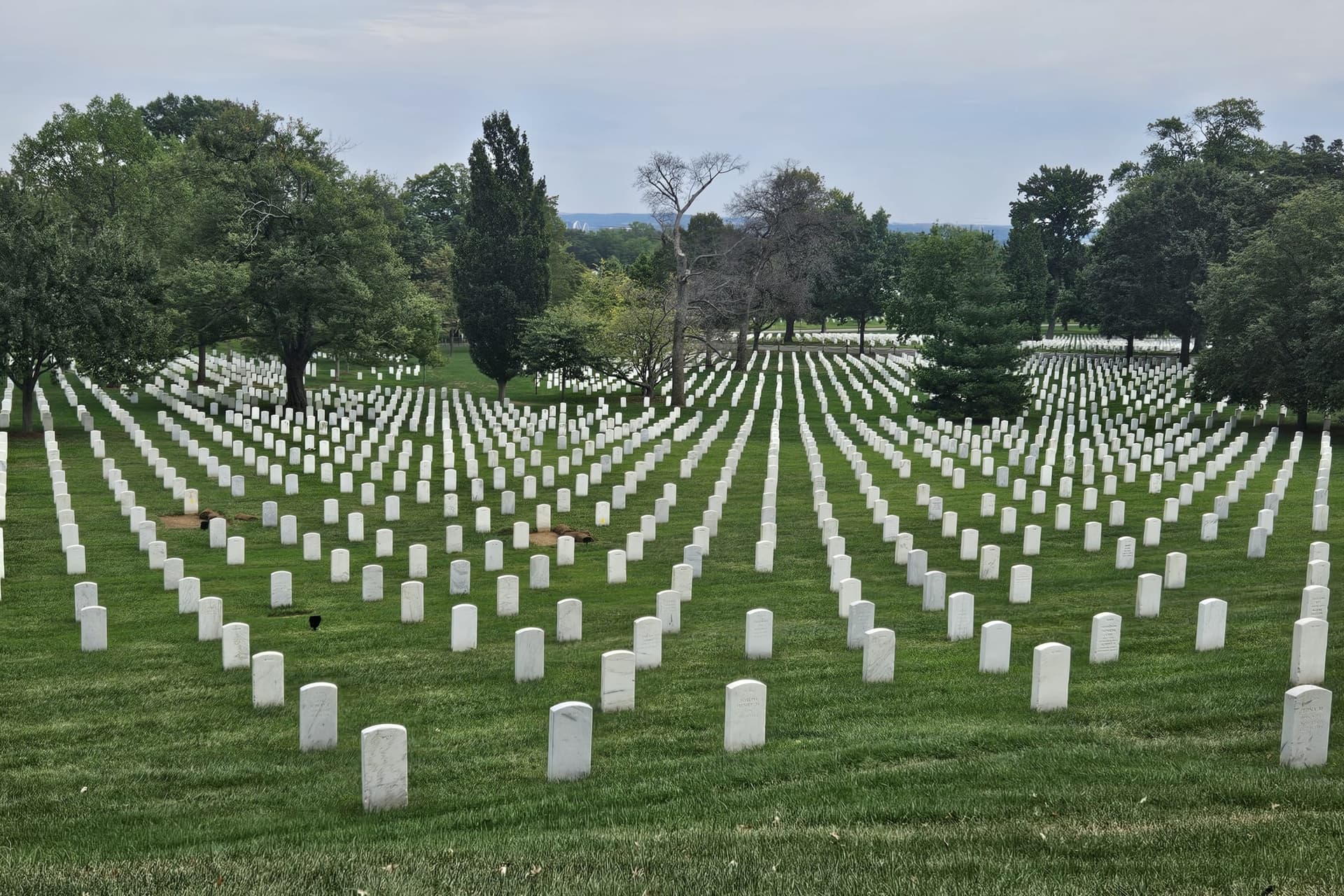Arlington Cemetery Guided Tour with Changing of the Guard - تصویر 3