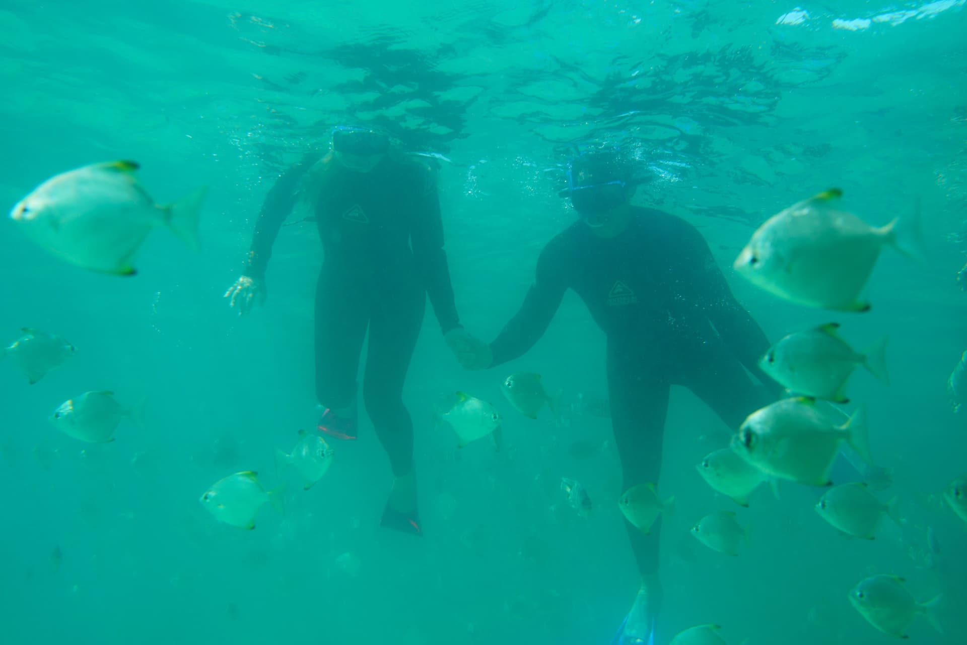 Moreton Island 1-Day Adventure Tour with Kayaking and Sandboarding - تصویر 16