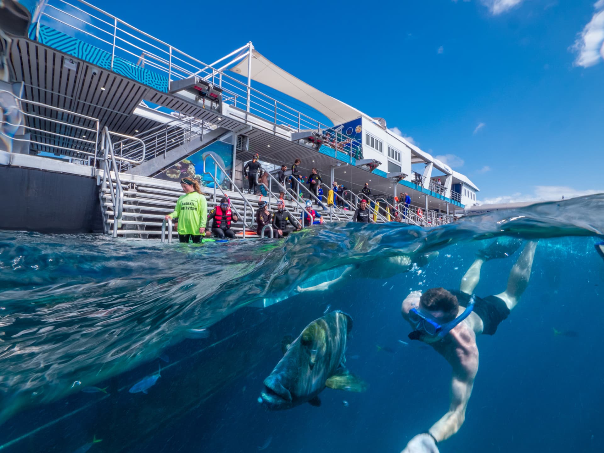 Reef Magic Pontoon Tour from Cairns - تصویر اصلی