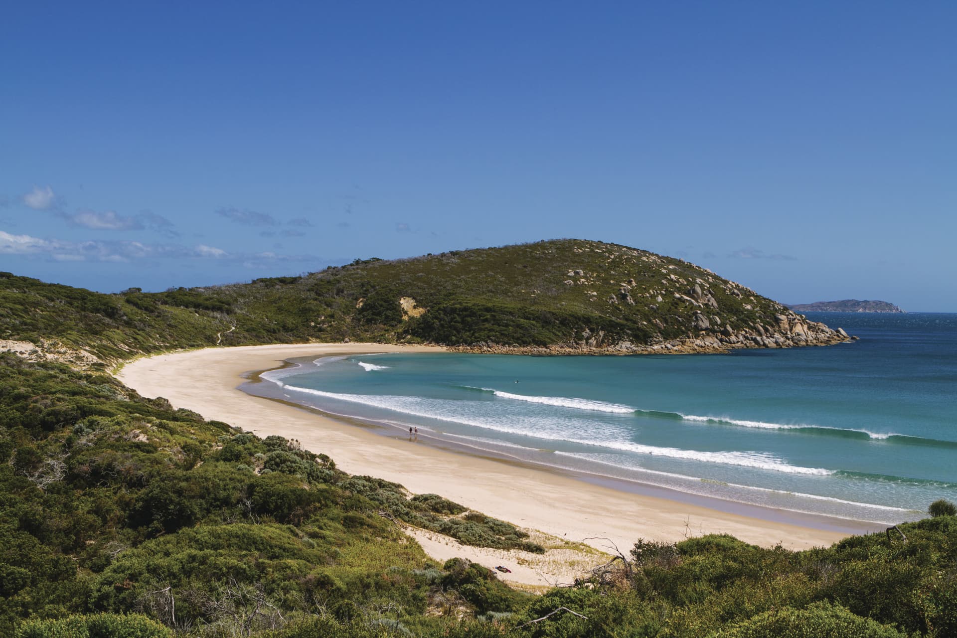 Wilsons Promontory National Park Tour from Melbourne - تصویر 5