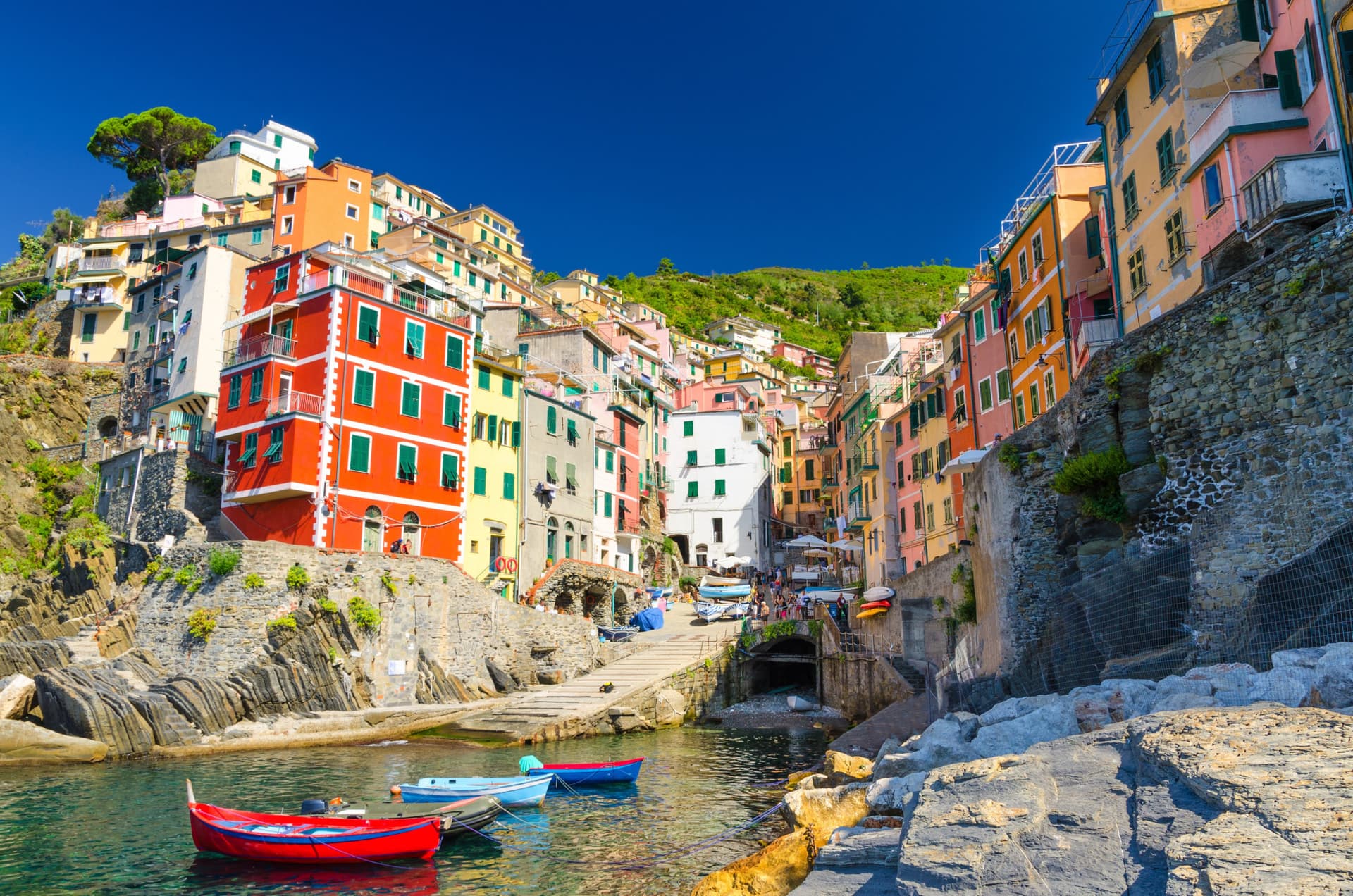 Cinque Terre Tour from Florence: Manarola, Riomaggiore, Vernazza, Monterosso - تصویر اصلی