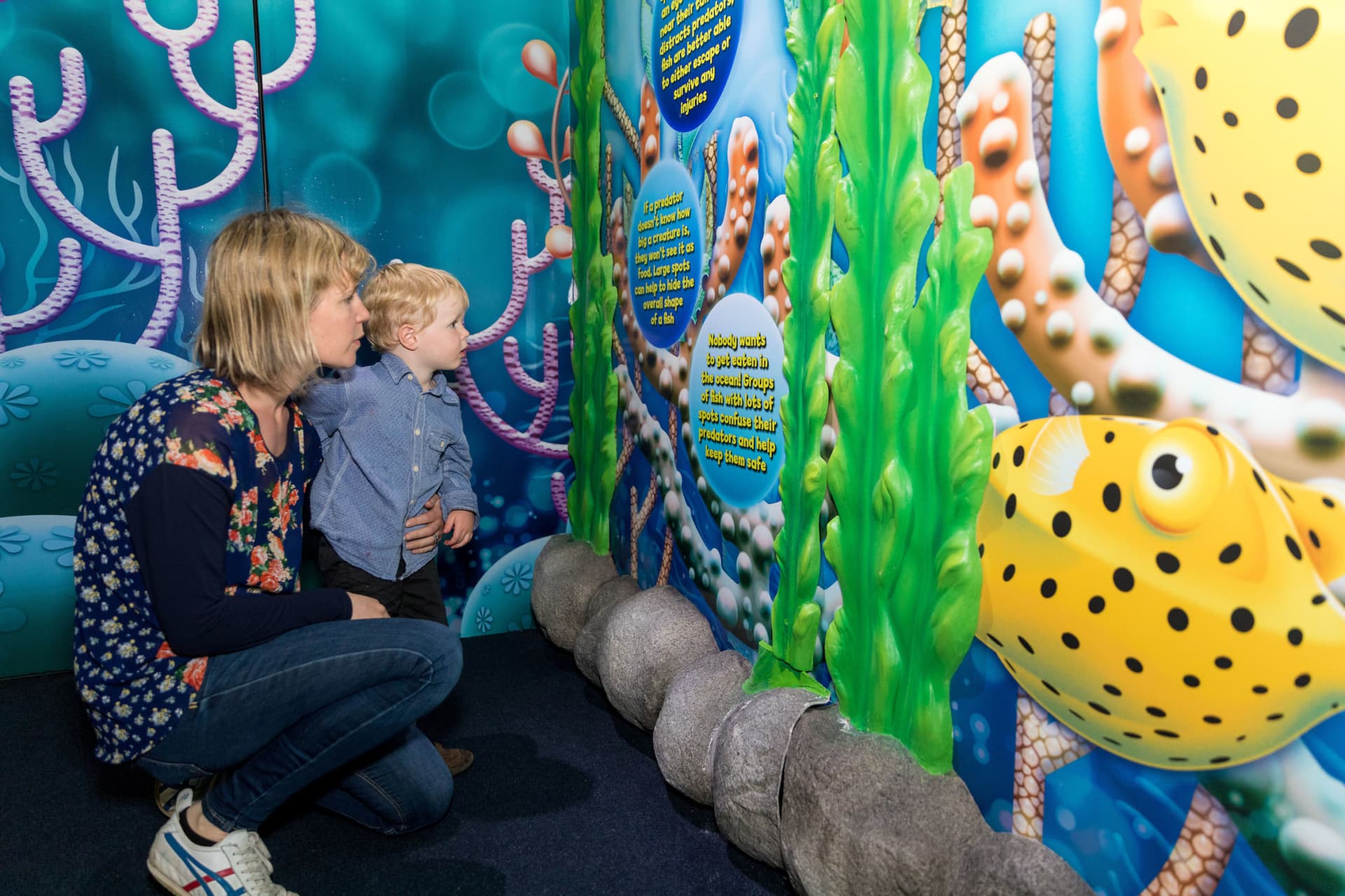 SEA LIFE Kelly Tarlton's Aquarium Ticket - تصویر 14