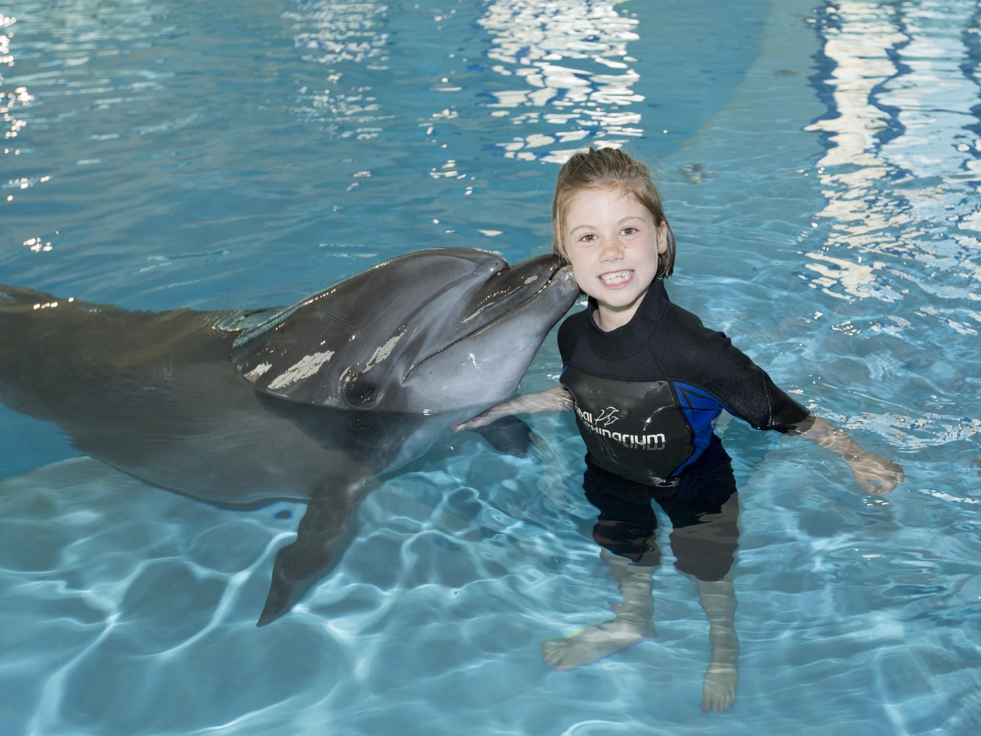 Dubai Dolphinarium Ticket - تصویر 13