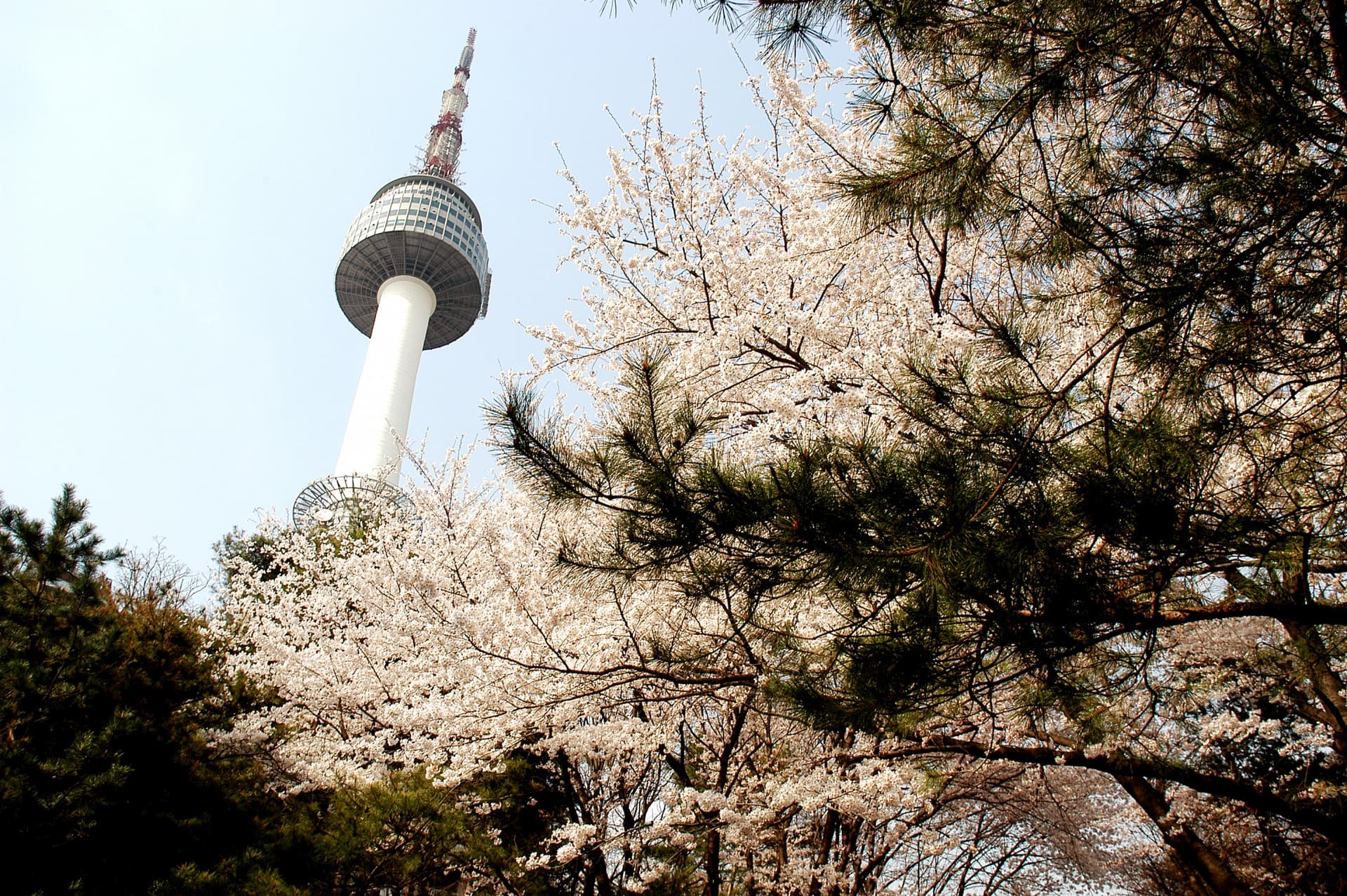 N Seoul Tower Ticket - تصویر 3