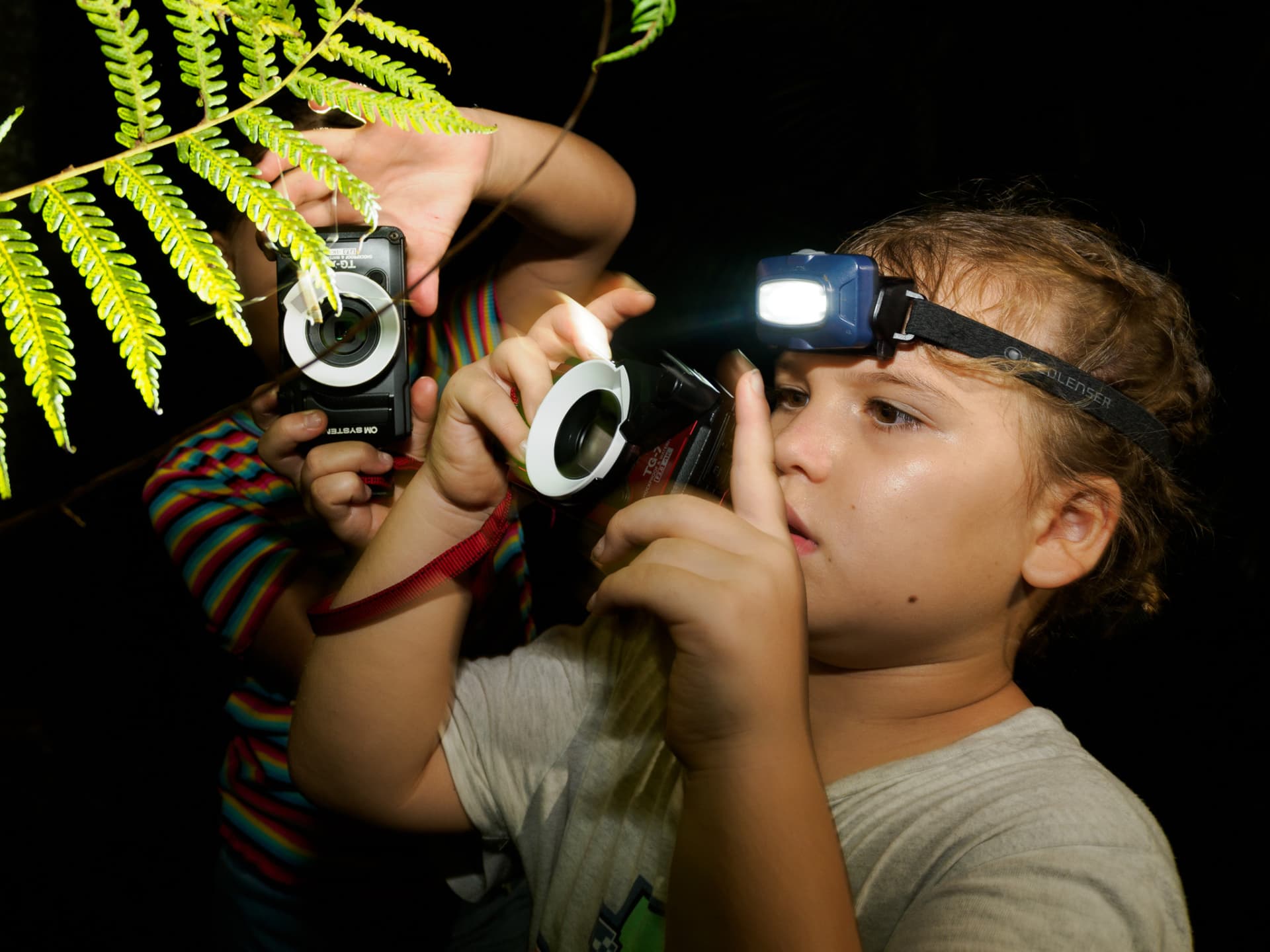 Cairns Botanic Gardens Night Walk Experience - تصویر اصلی