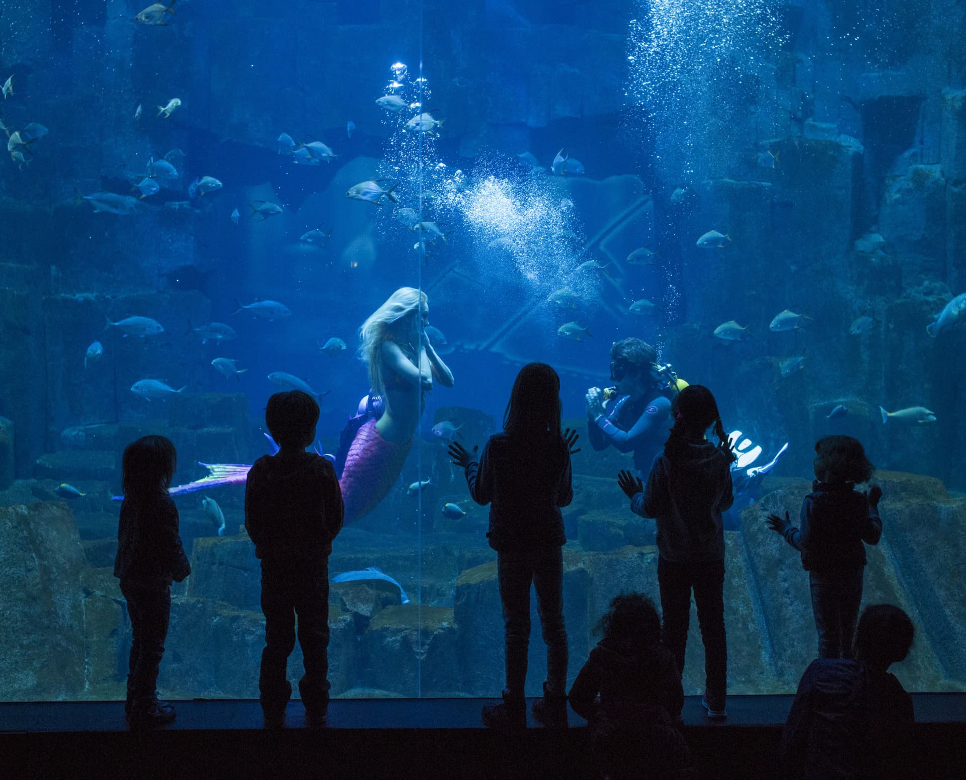 The Paris Pass Plus: Save up to 50% on Attractions - تصویر 26