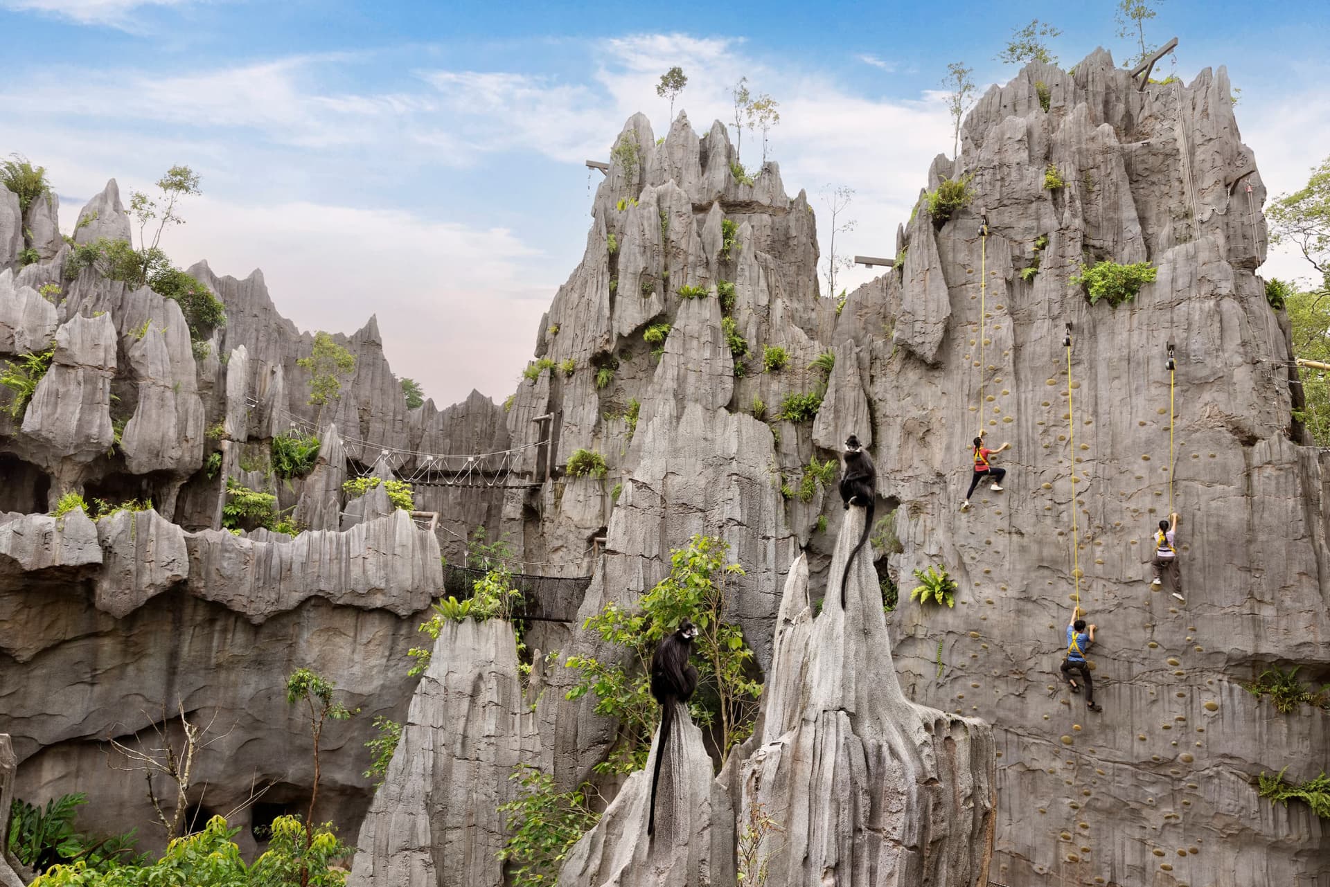 Rainforest Wild Adventure Ticket - تصویر 10