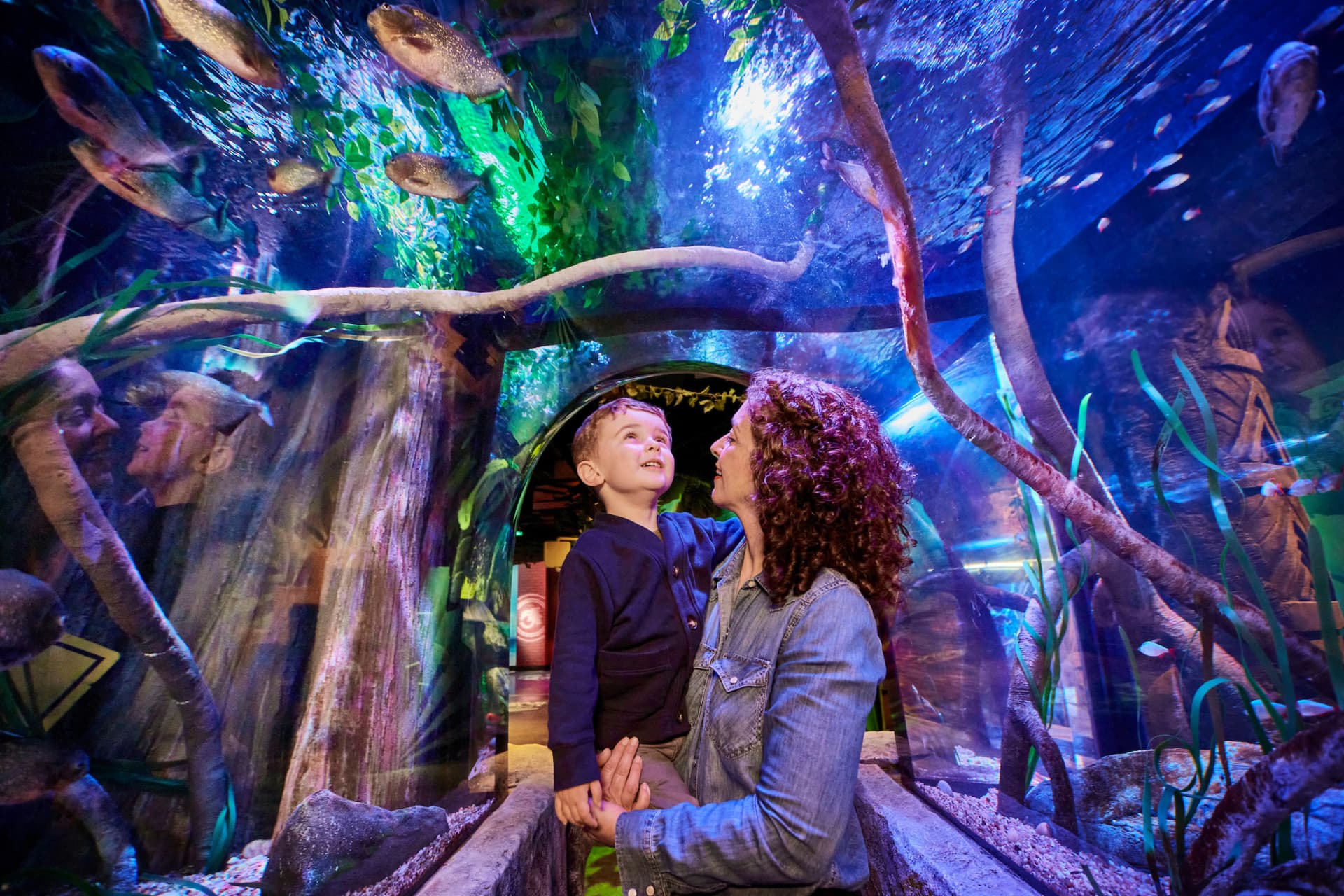 SEA LIFE New Jersey Aquarium Ticket - تصویر اصلی