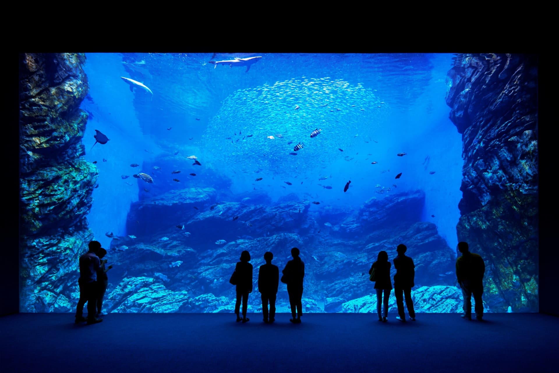 Sendai Umino-Mori Aquarium Ticket - تصویر اصلی
