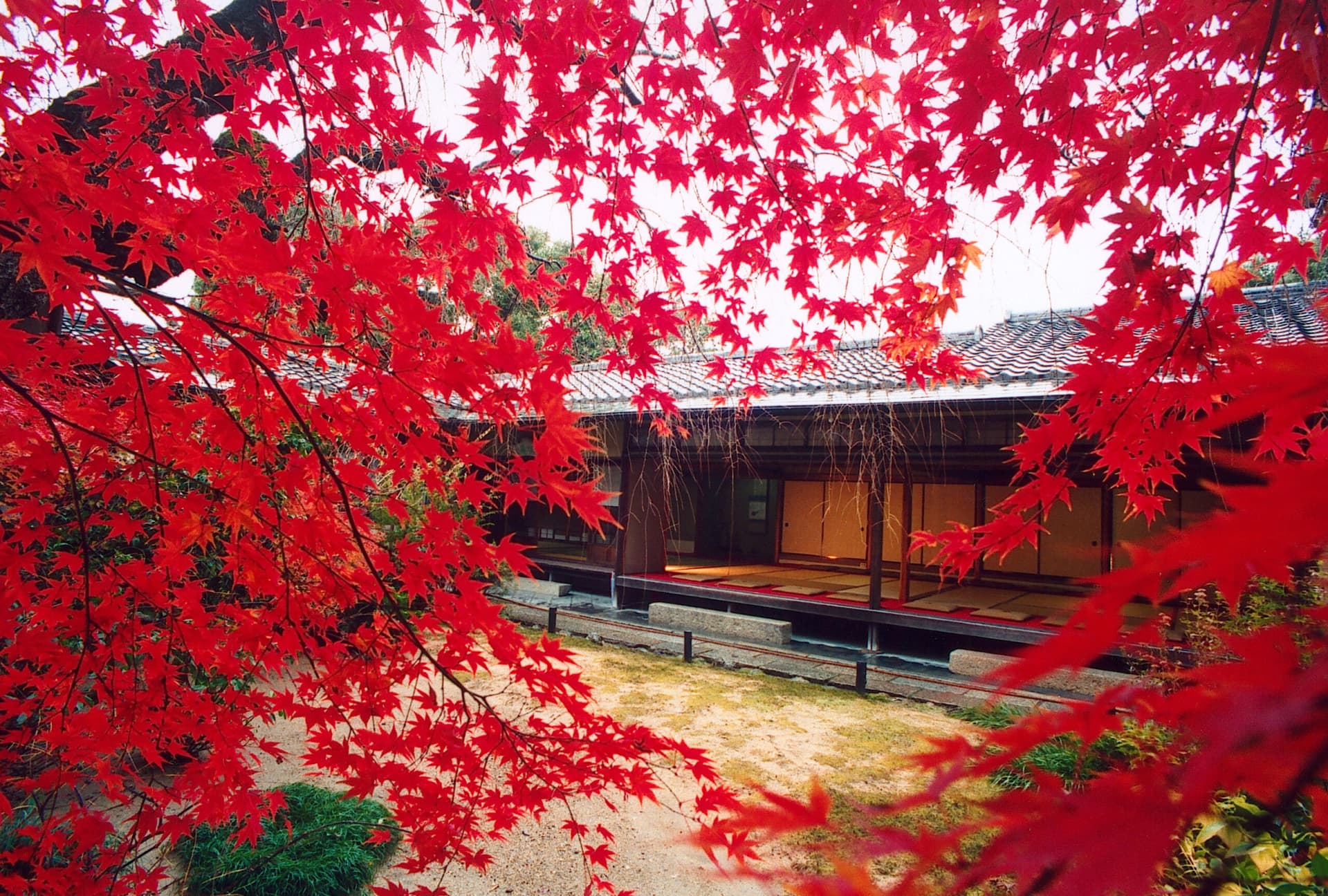 Myoshinji Temple Self-Guided Tour with Lunch - تصویر 3