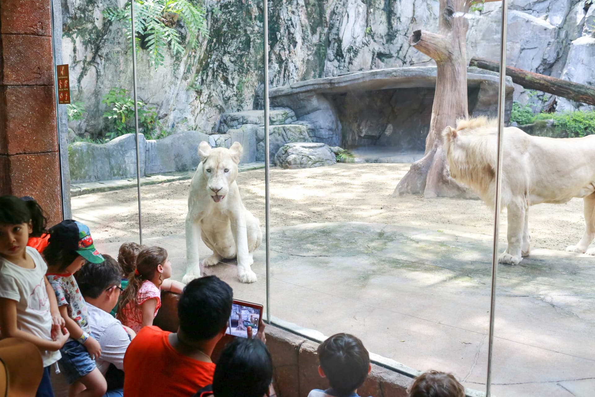 Sunway Lagoon Theme Park Ticket - تصویر 14