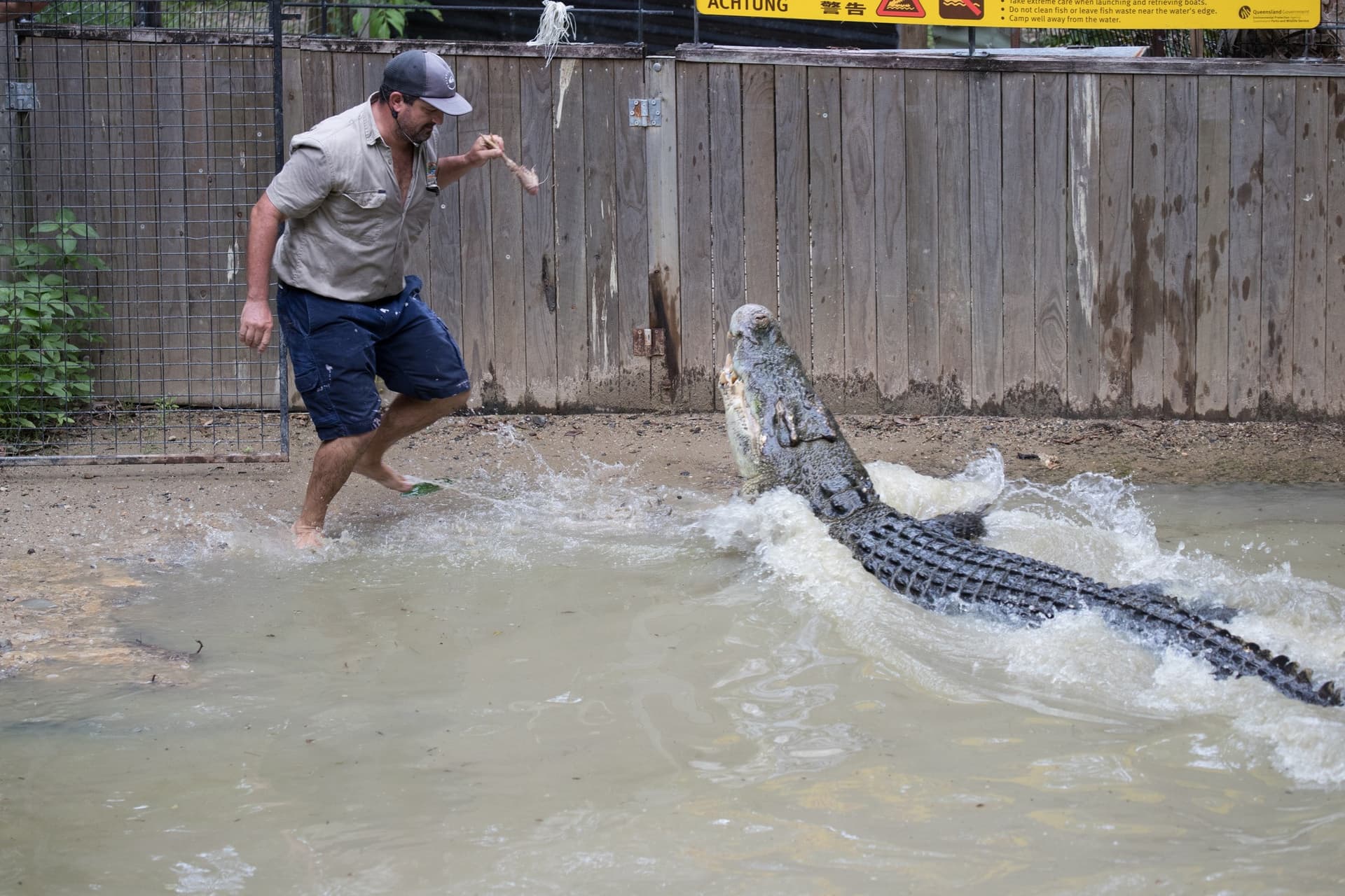 Hartley's Crocodile Adventures - تصویر 2