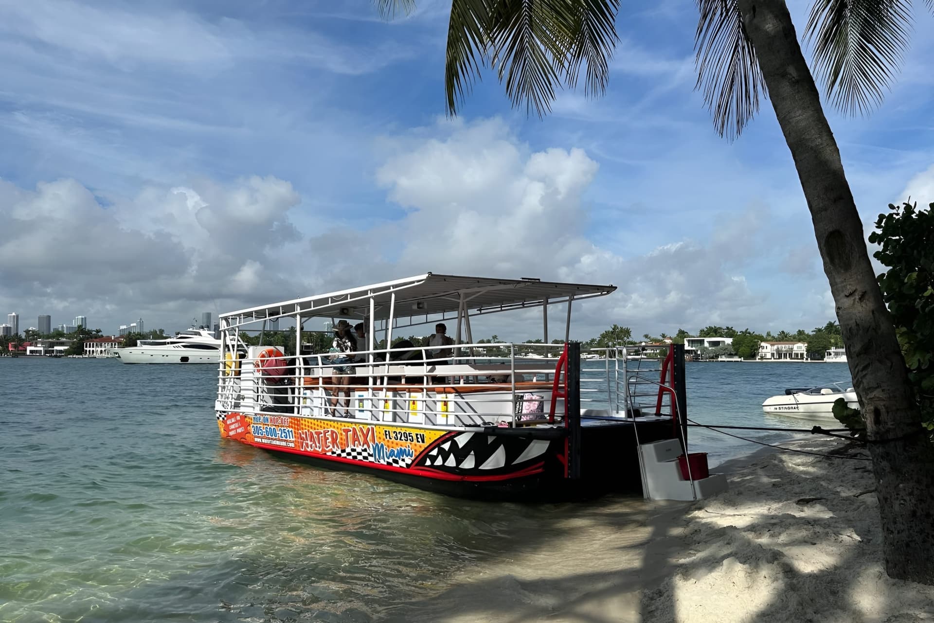 Miami: Snorkeling Adventure off a Secluded Island from South Beach - تصویر 6