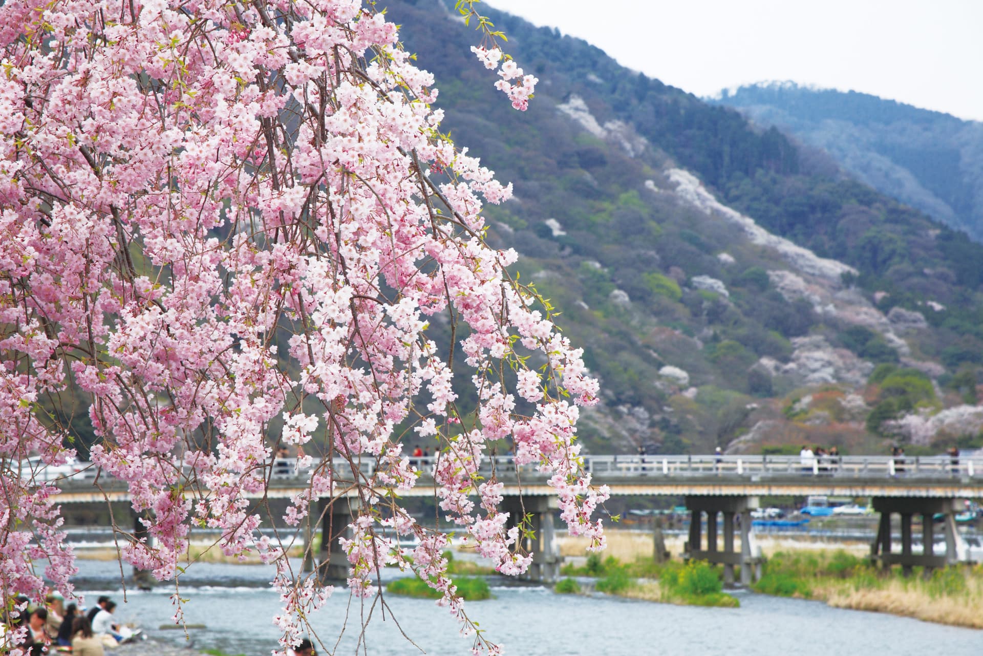 Hankyu One-Day Pass - تصویر 2