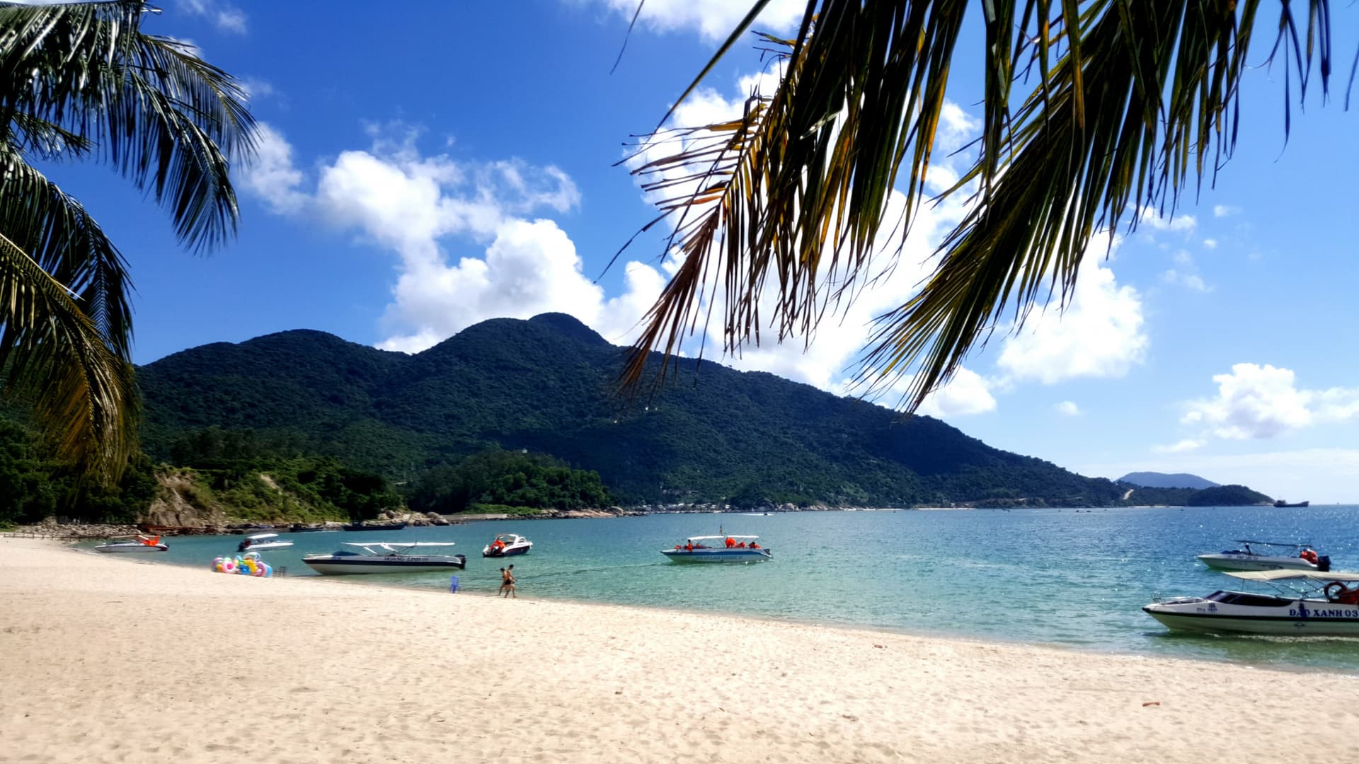 Cham Island Tour from Da Nang - تصویر اصلی